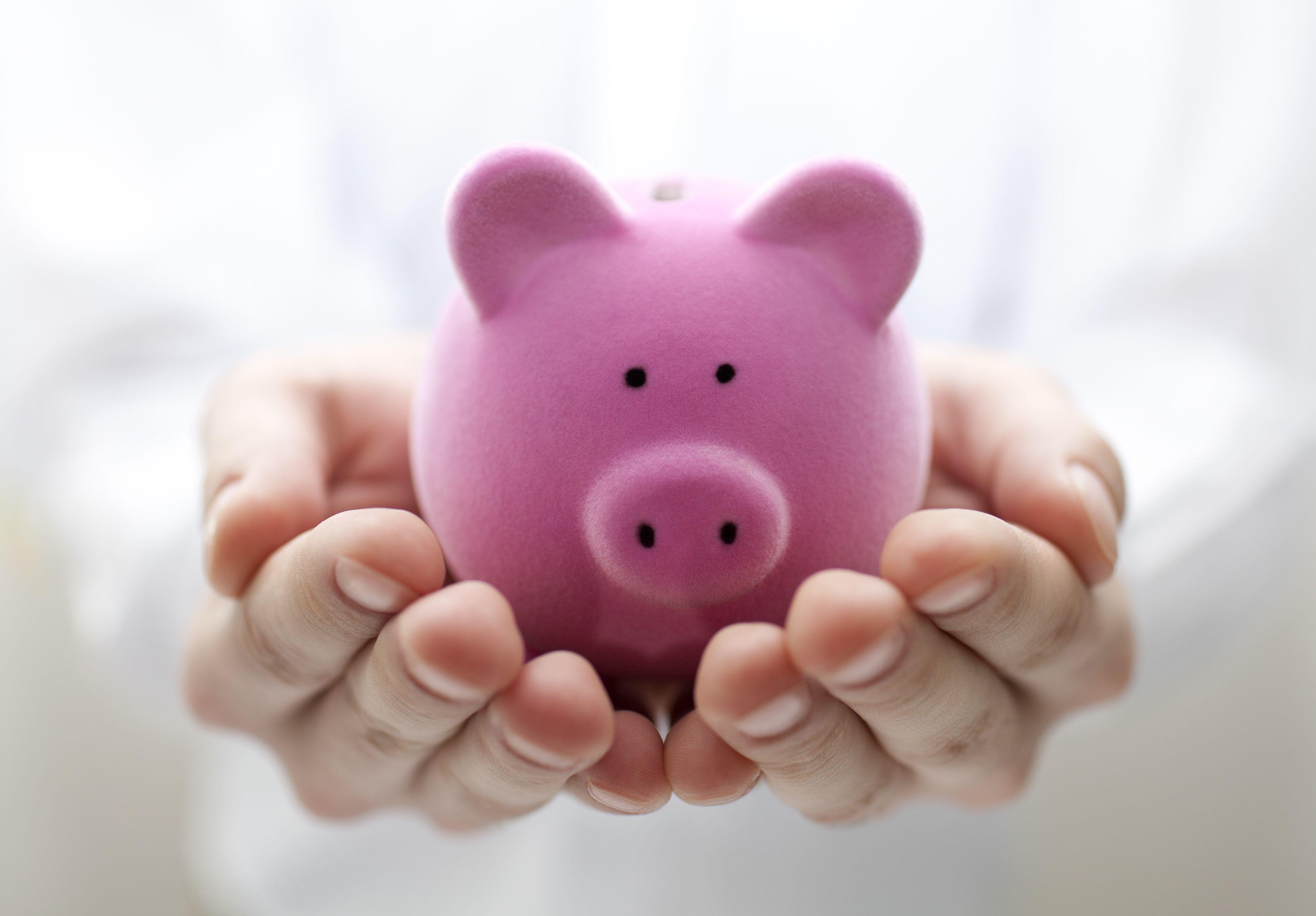 Piggy bank HD Wallpaper and Background Image