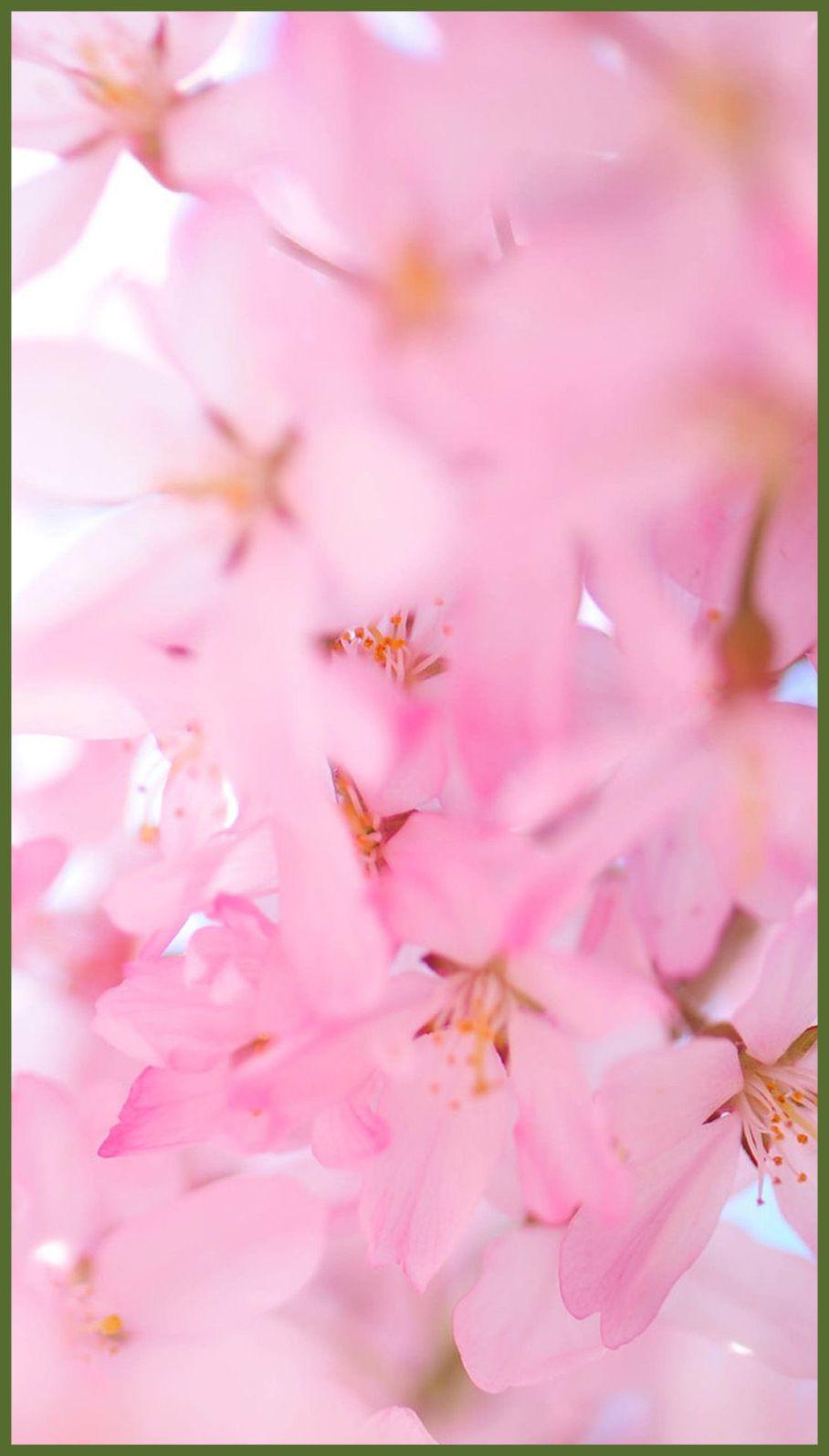 Marvelous Galaxy Wallpaper Printables Pics For Piggy Samsung Trends