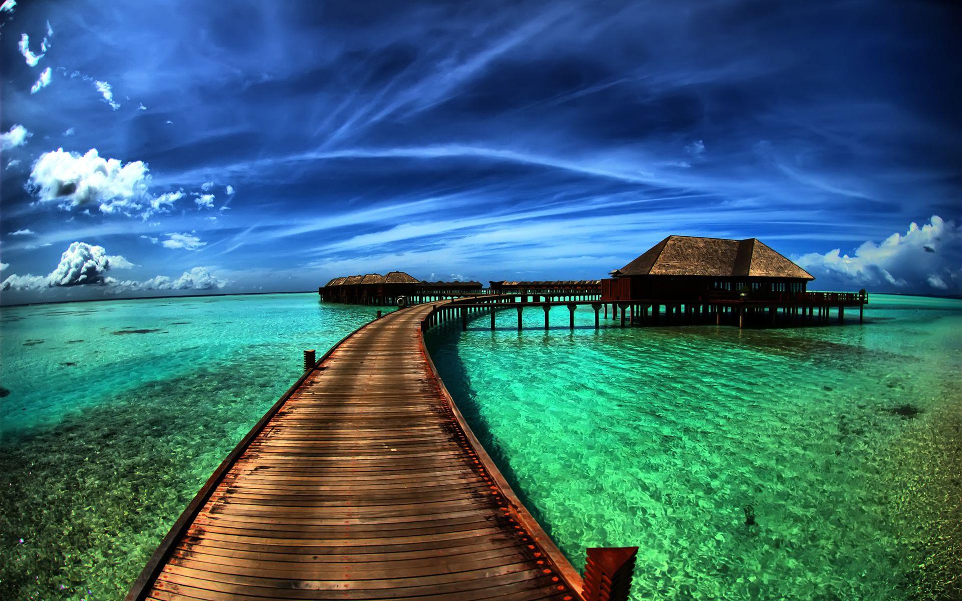 Tropical HD Wallpaper and Background