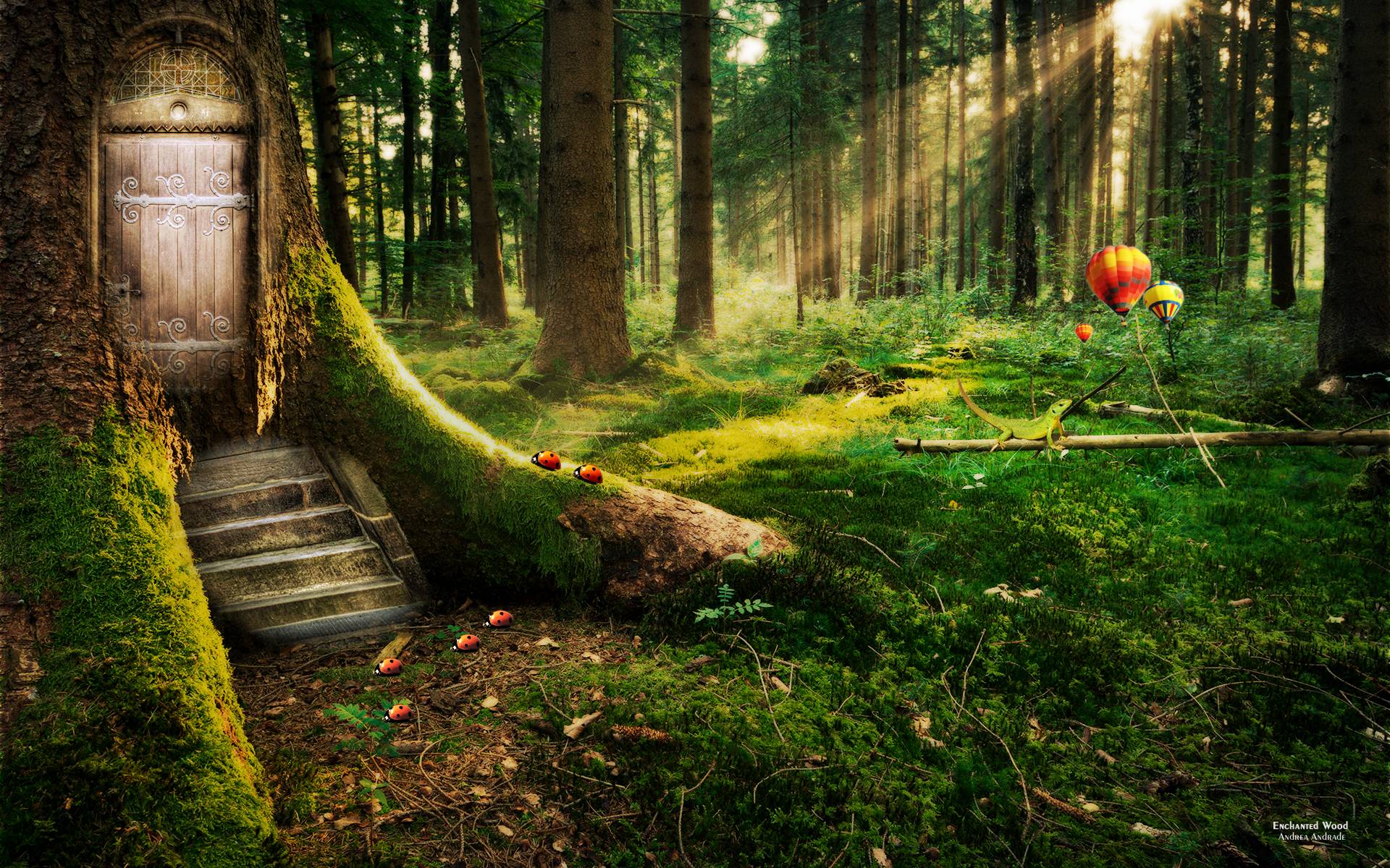 Wallpaper Of Enchanted Forest Background HD Androids Wallpicel.com