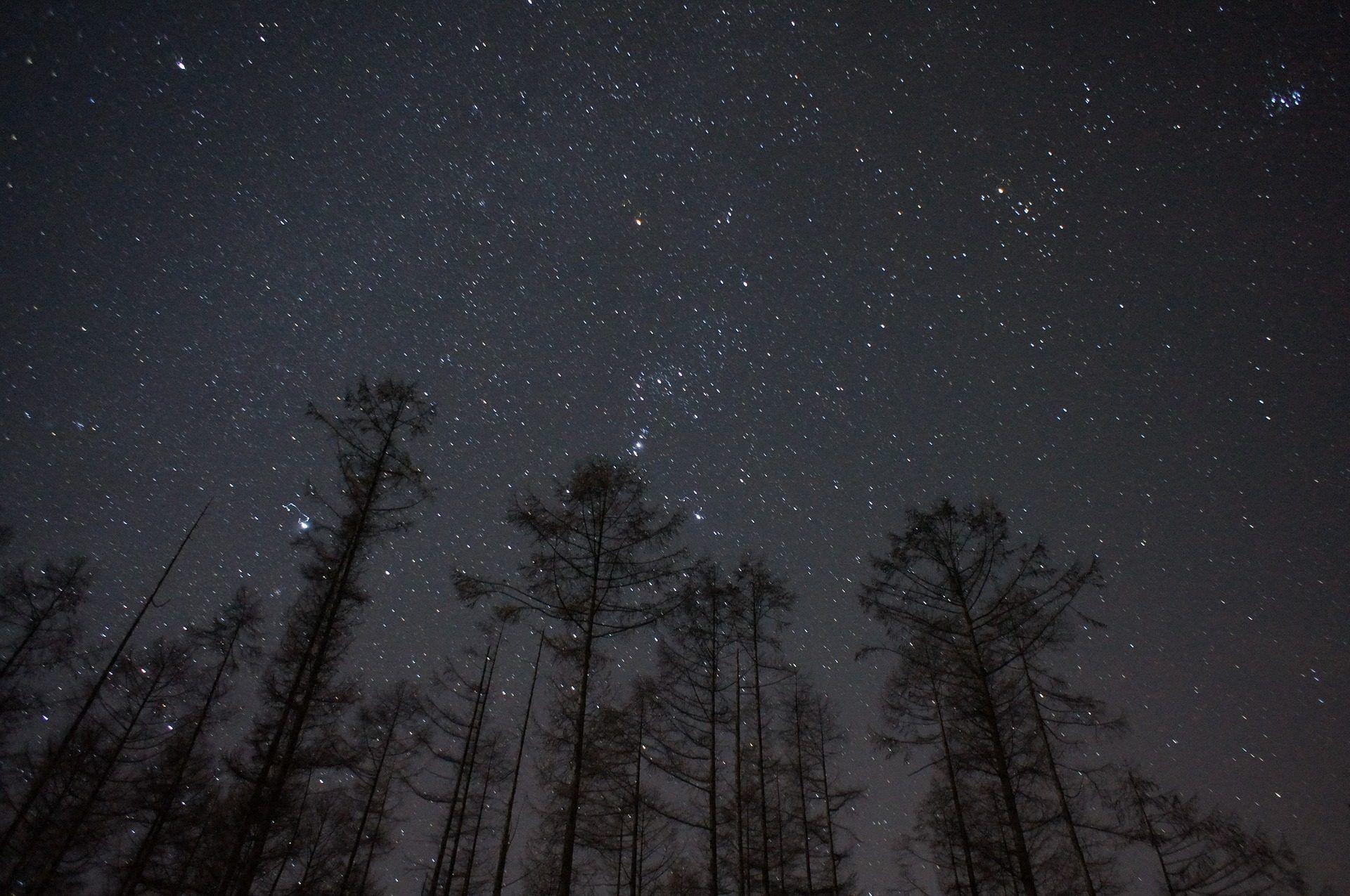árboles, cielo, noche, estrellas, universo, 1710160854. Fondos de