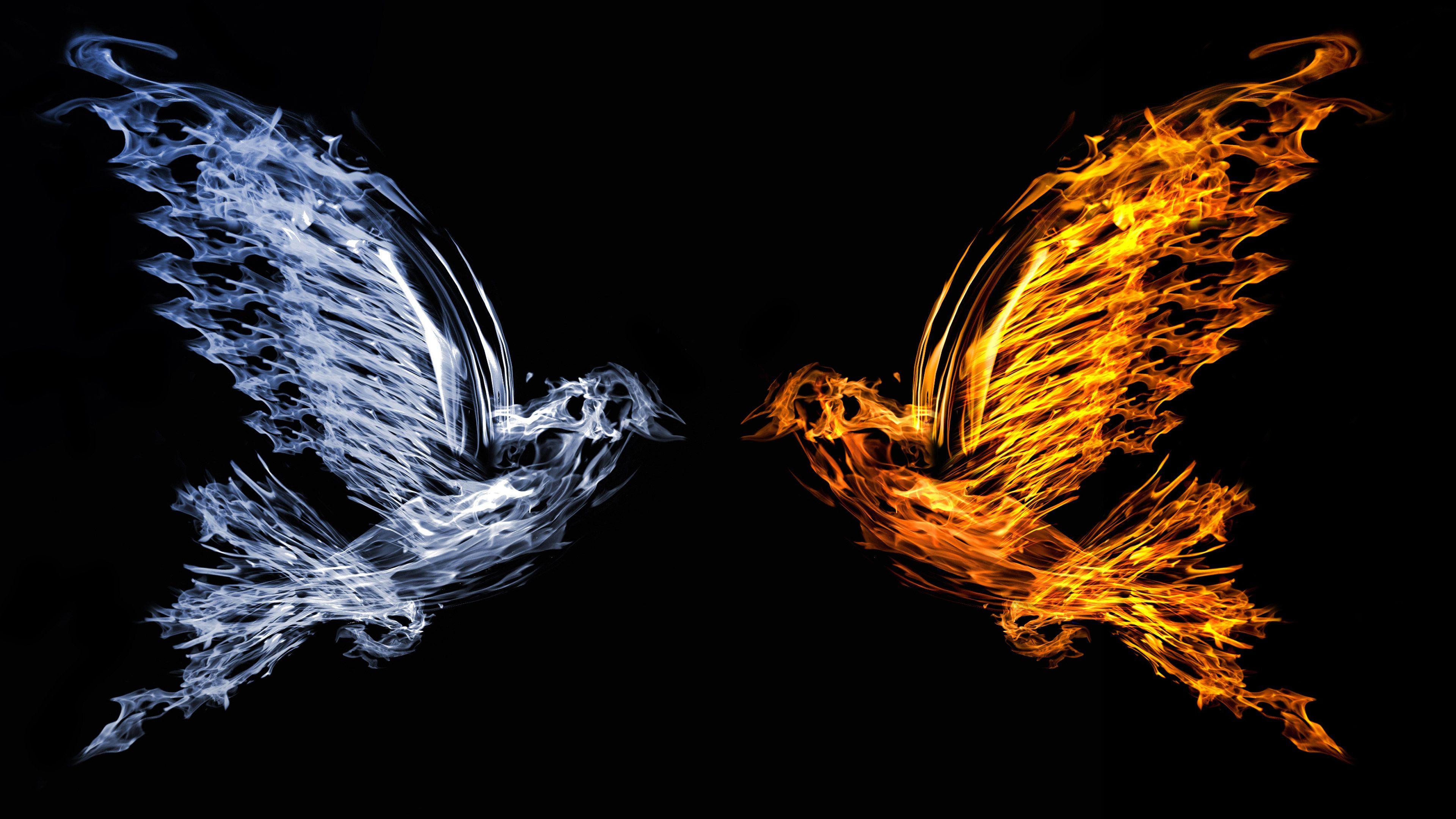 Bird Fire And Water, HD Artist, 4k Wallpaper, Image, Background