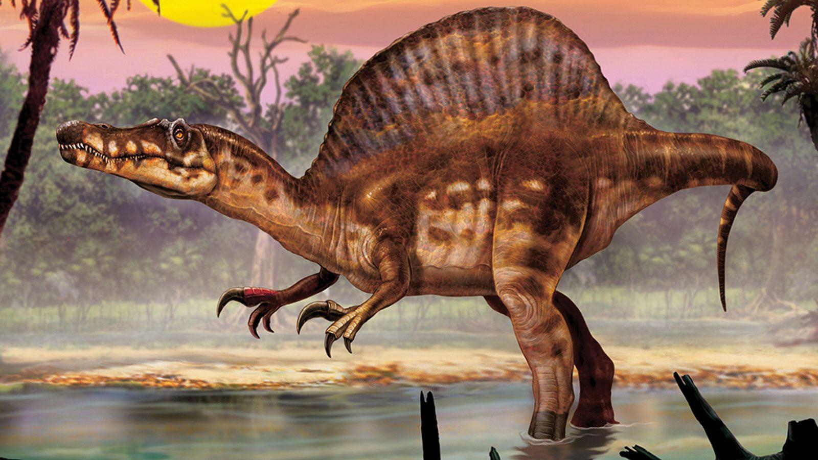 Spinosaurus Side.ngsversion
