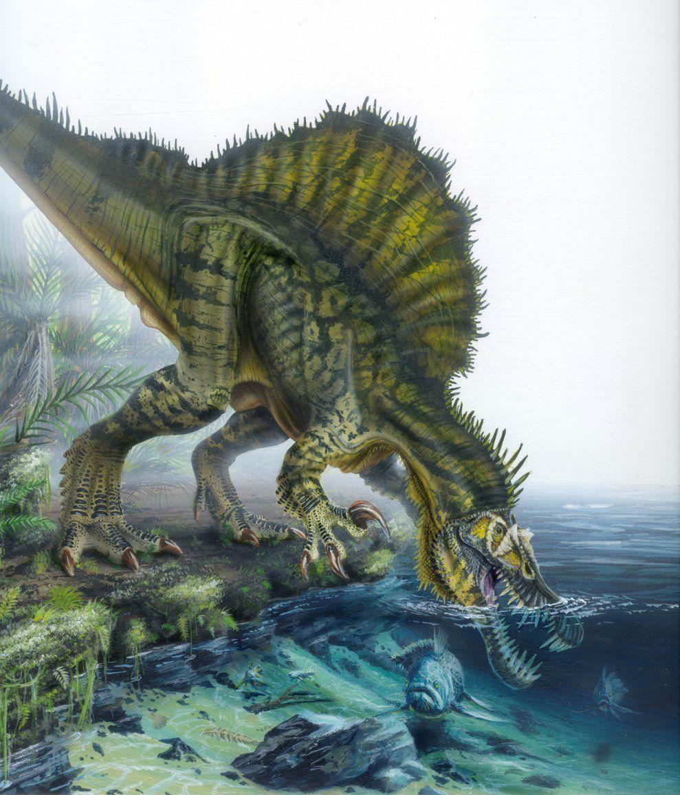Spinosaurus Battles. DReager1's Blog