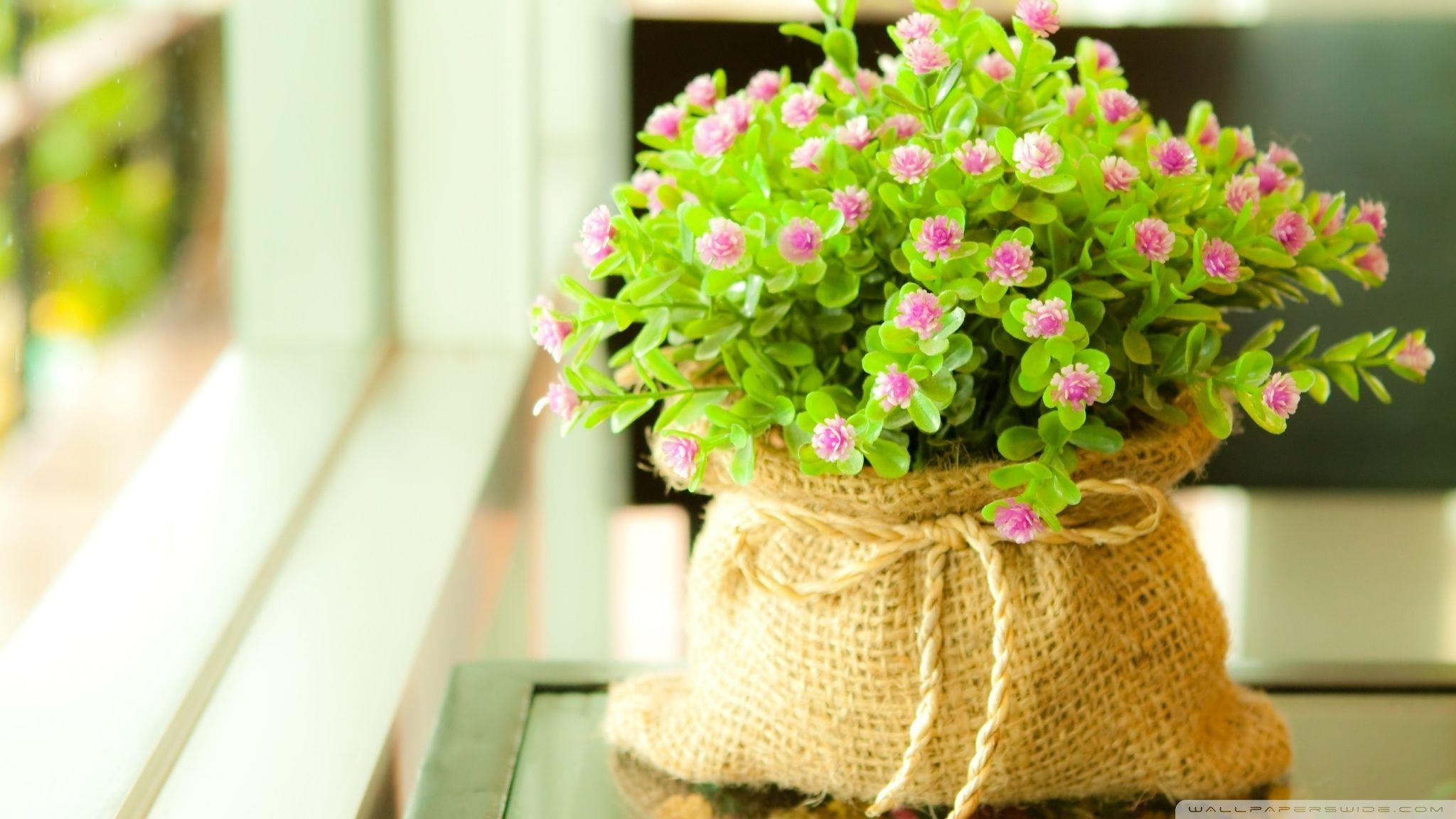 Wallpaper For Desktop Background Full Screen (Picture)