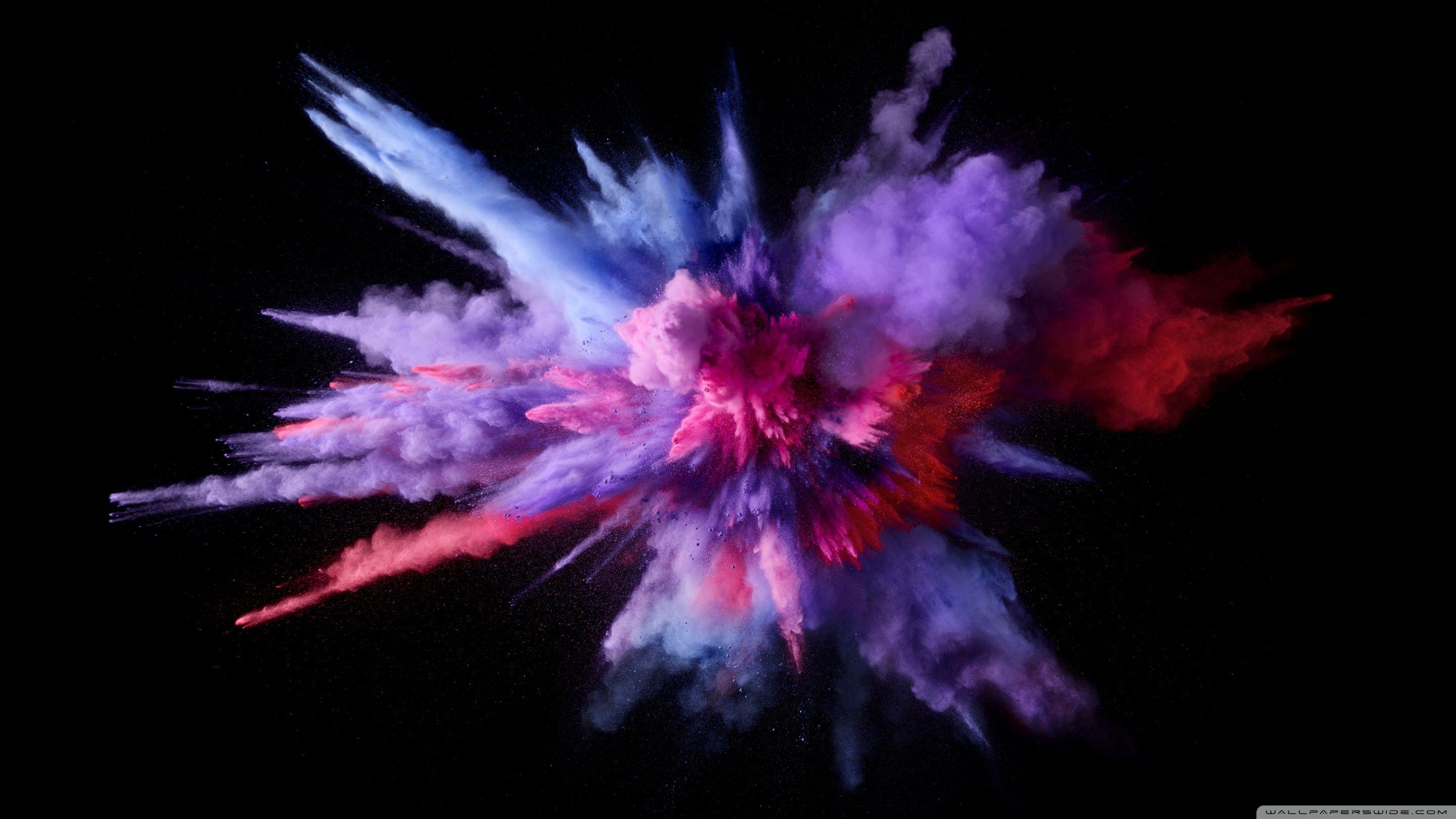 Purple Color Burst ❤ 4K HD Desktop Wallpaper for • Wide & Ultra