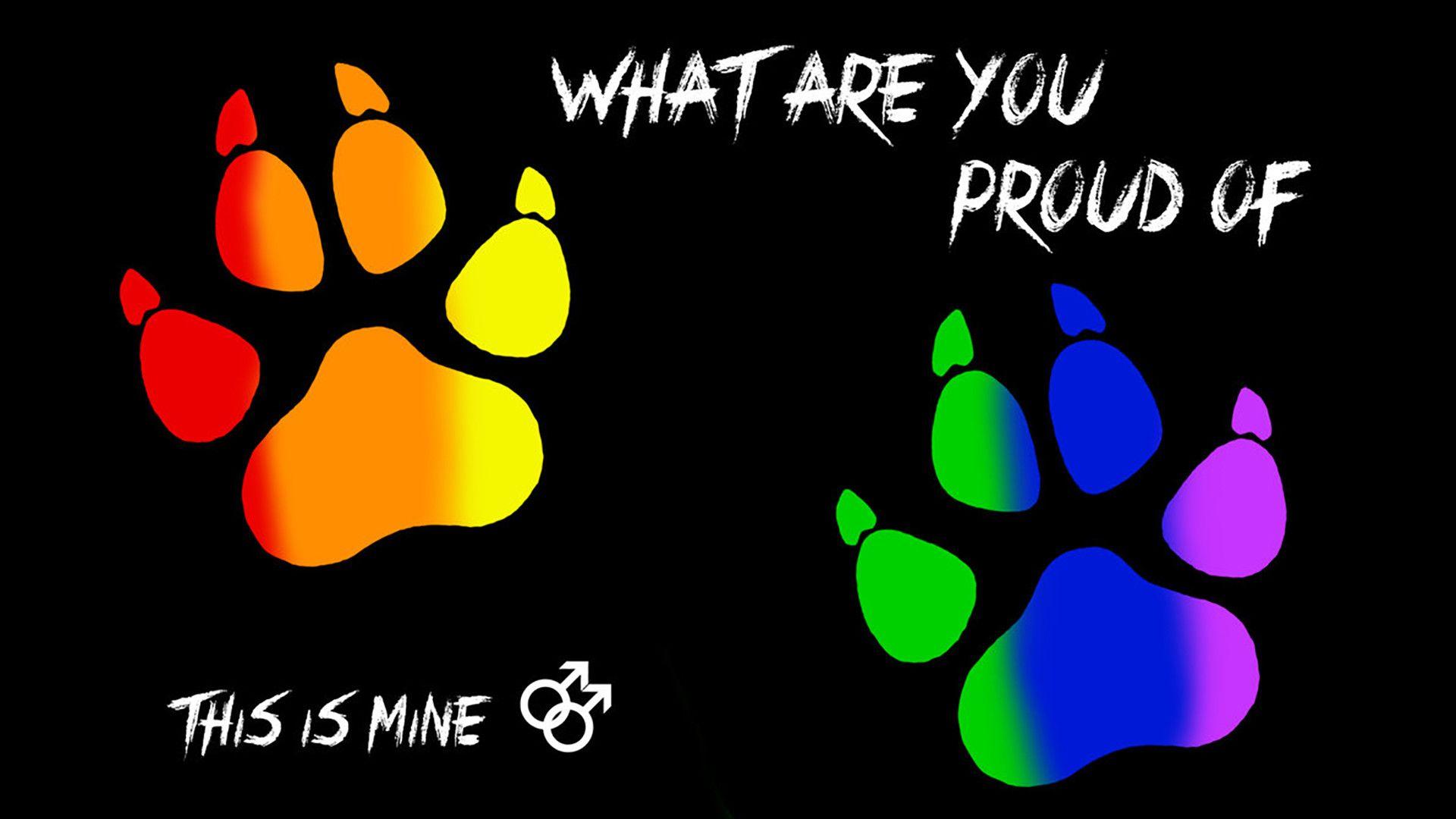 Gay HD Wallpaper