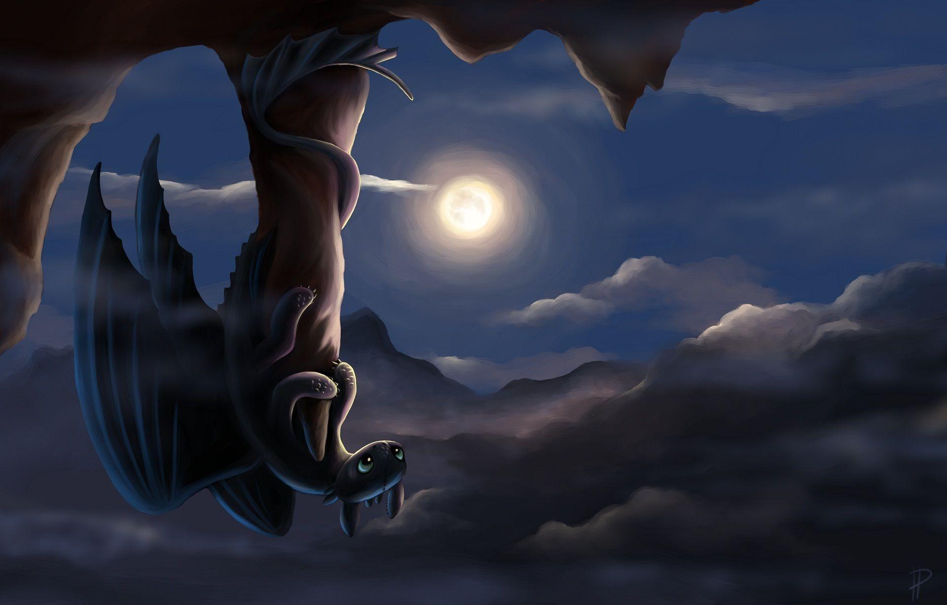 Picture How to Train Your Dragon Dragons Cartoons Moon Night