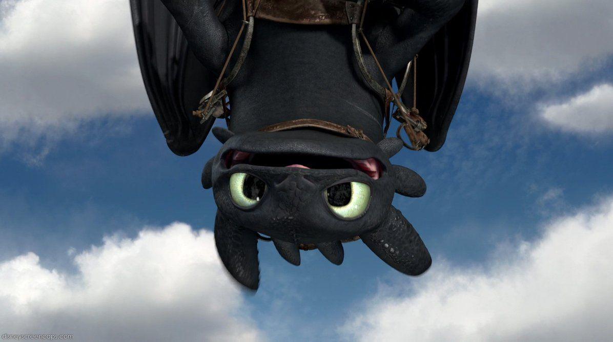 how to train your dragon was Toothless toothless?