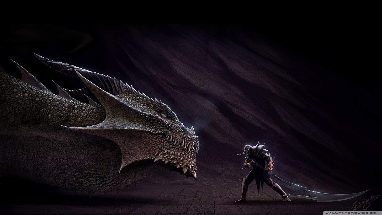 Dragon vs Hero ❤ 4K HD Desktop Wallpaper for 4K Ultra HD TV • Wide