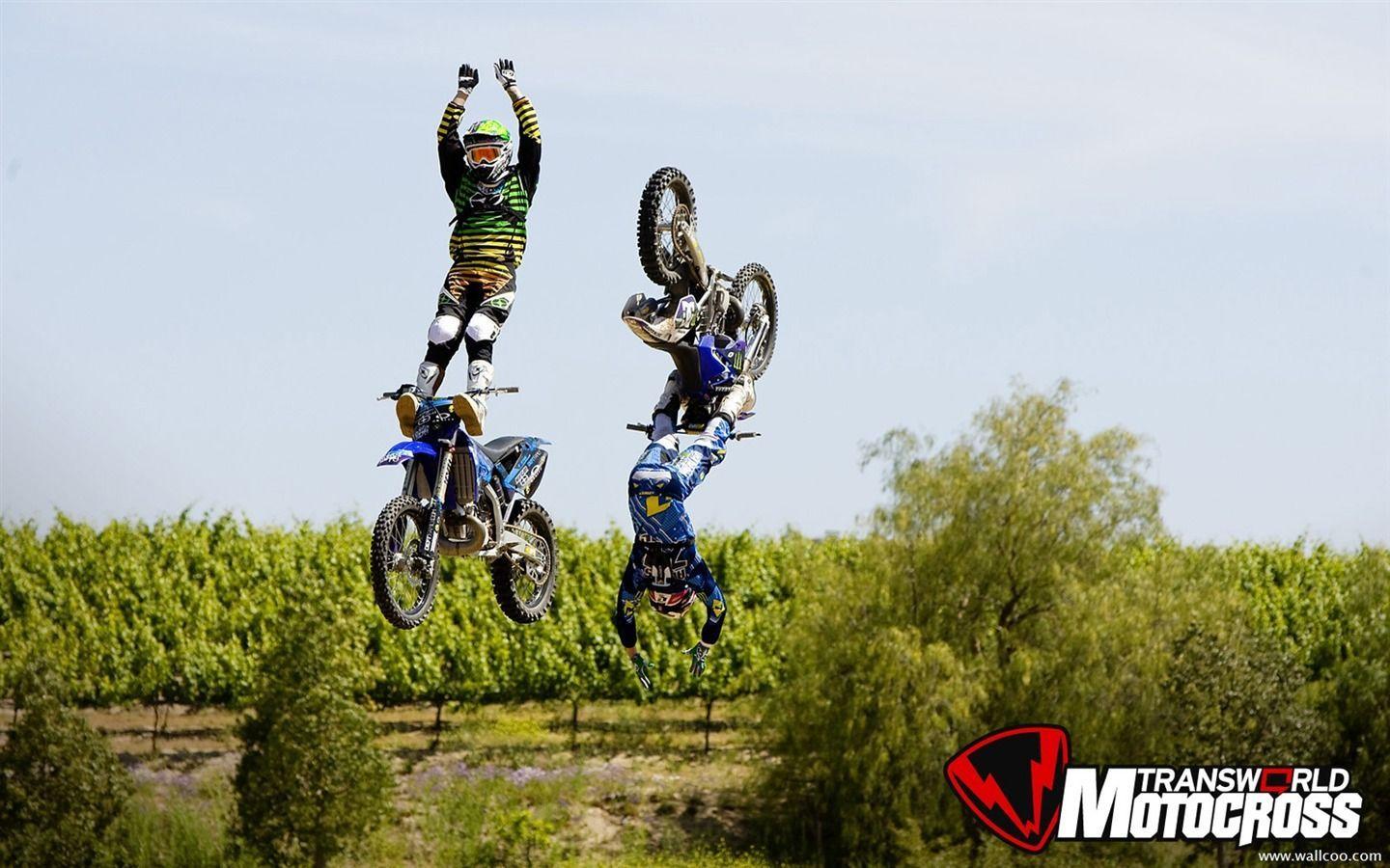 FMX Wallpaper