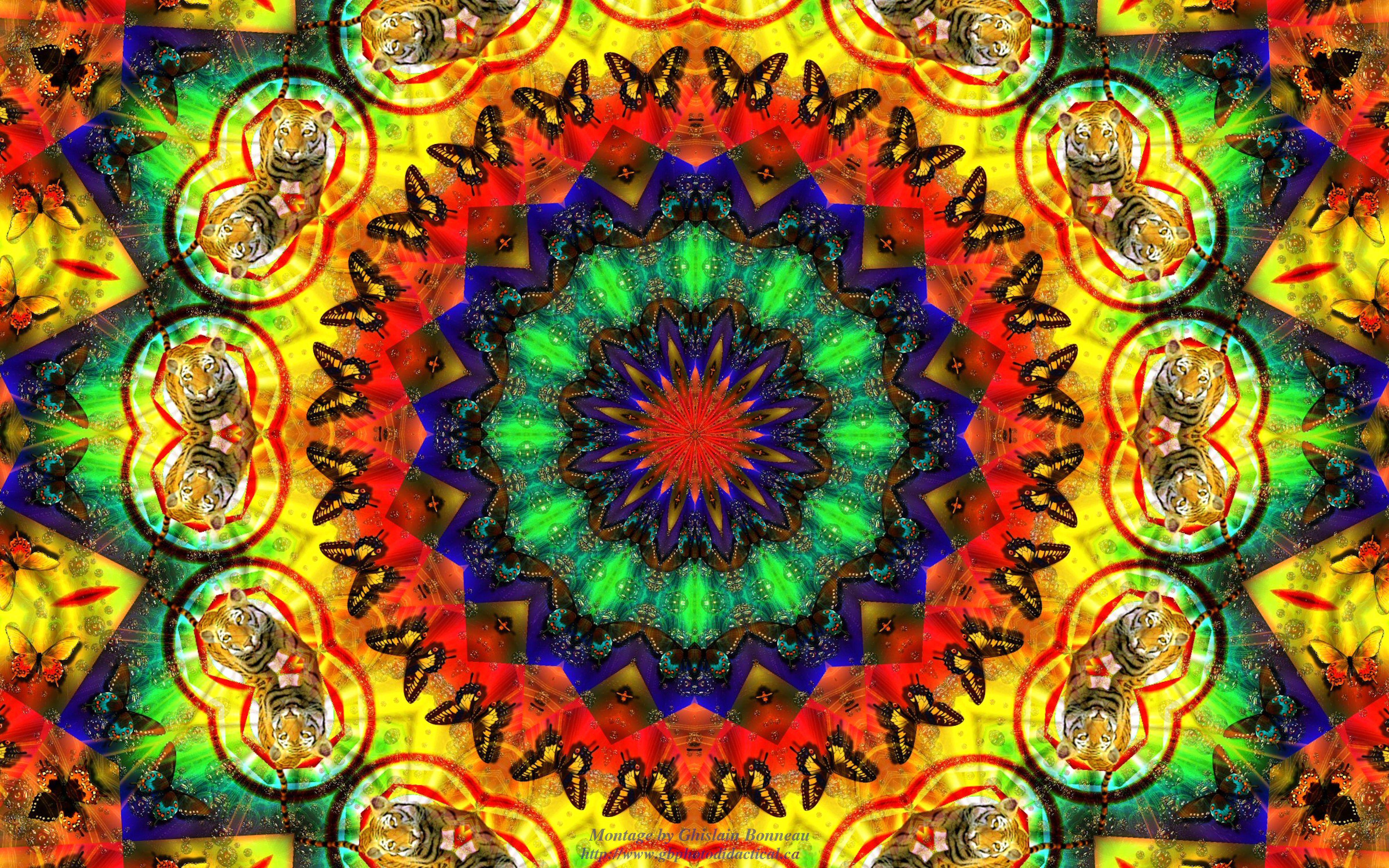 Hippie iPhone 5 Wallpaper Hippy Wallpaper Impremedia