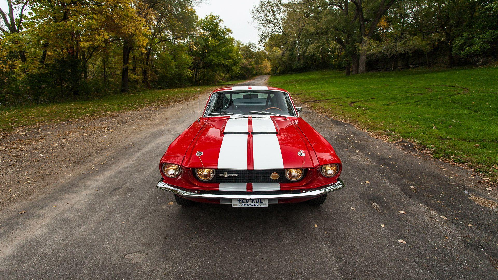 Ford Shelby Mustang GT500 Wallpaper & HD Image