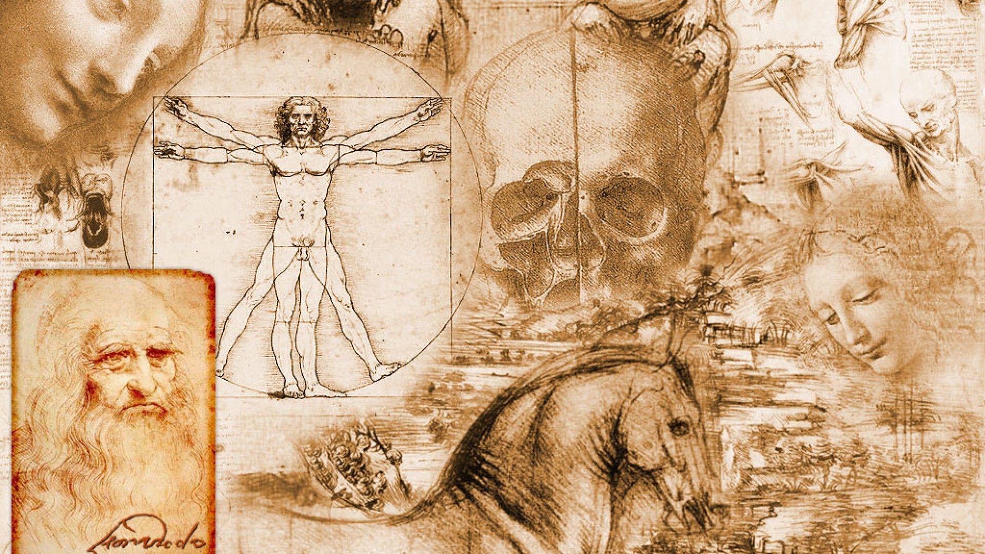 Leonardo Da Vinci, Vitruvian Man Wallpaper HD / Desktop and Mobile