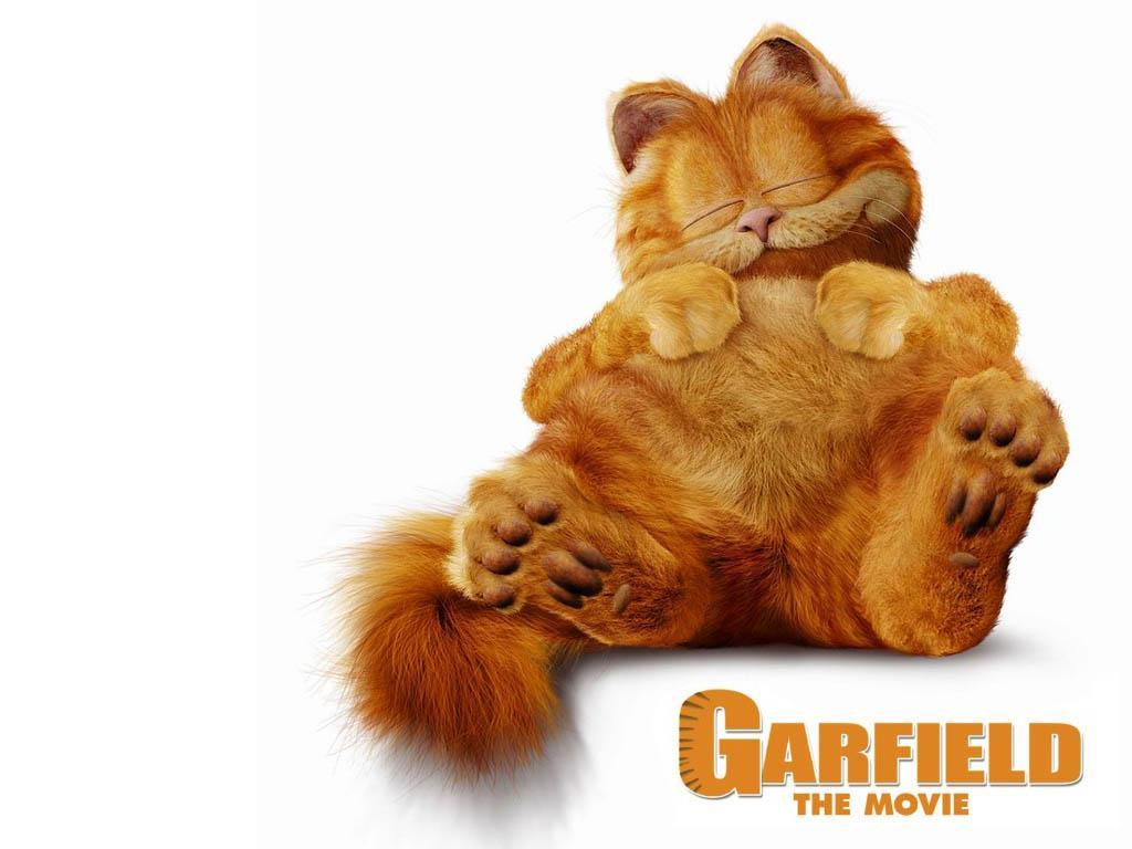 Garfield Movie Wallpaper
