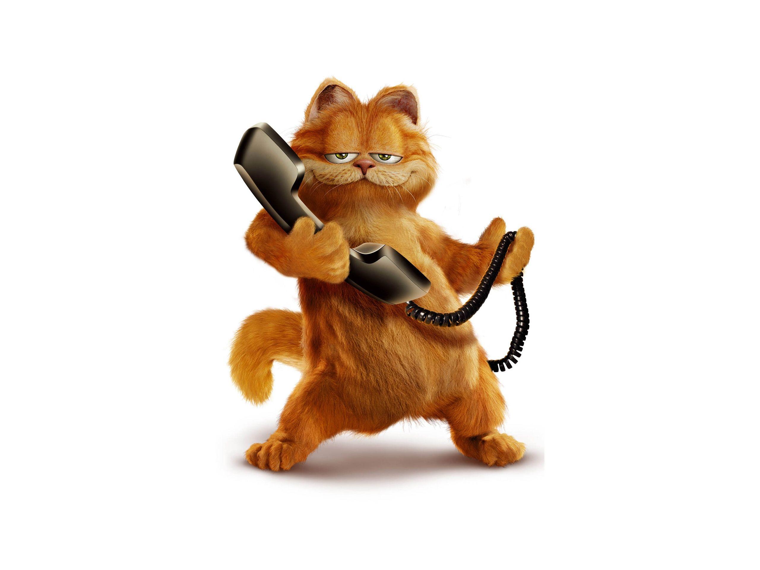 Garfield Movie Wallpaper
