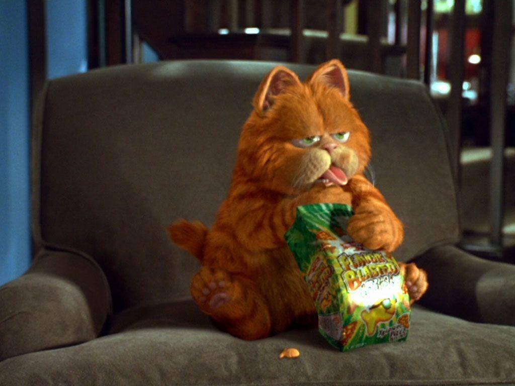 Garfield Eating HD Wallpaper, Background Image