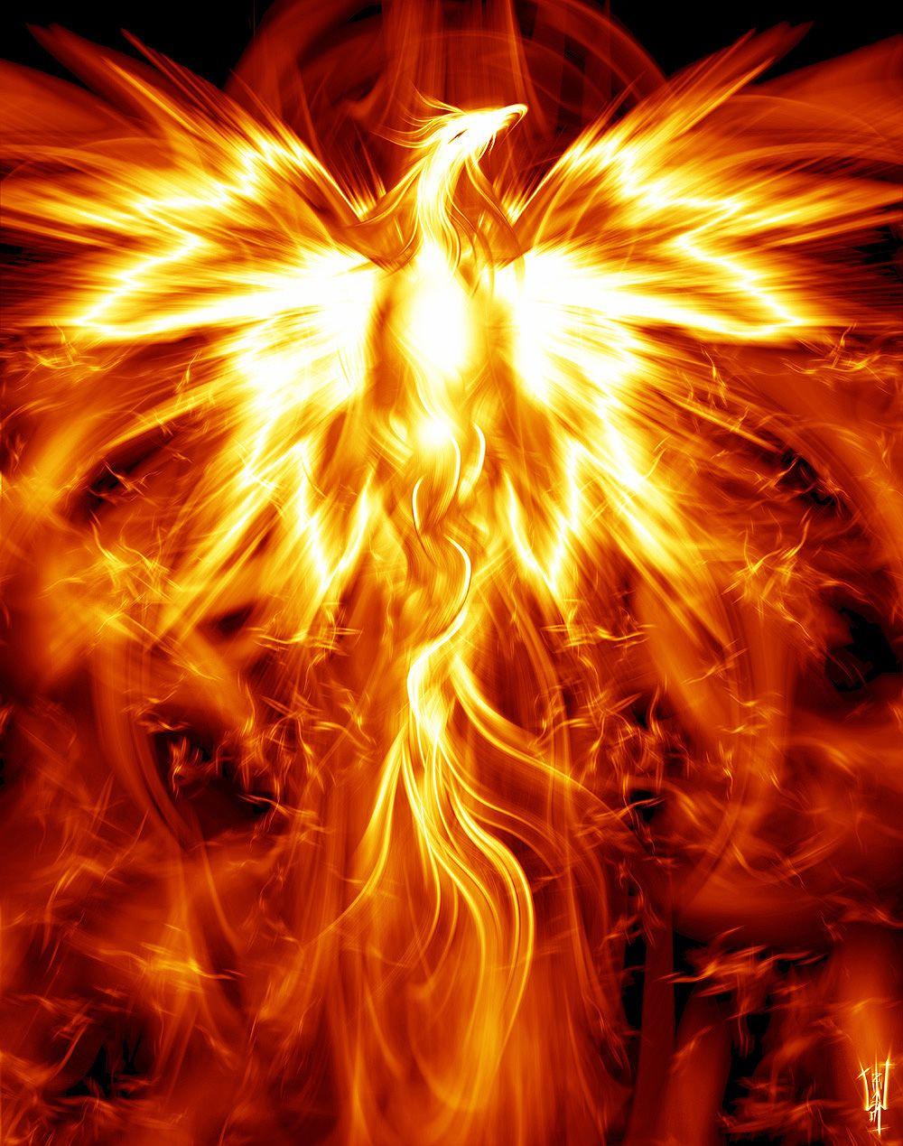 Phoenix in HD image and wallpaper: 2011