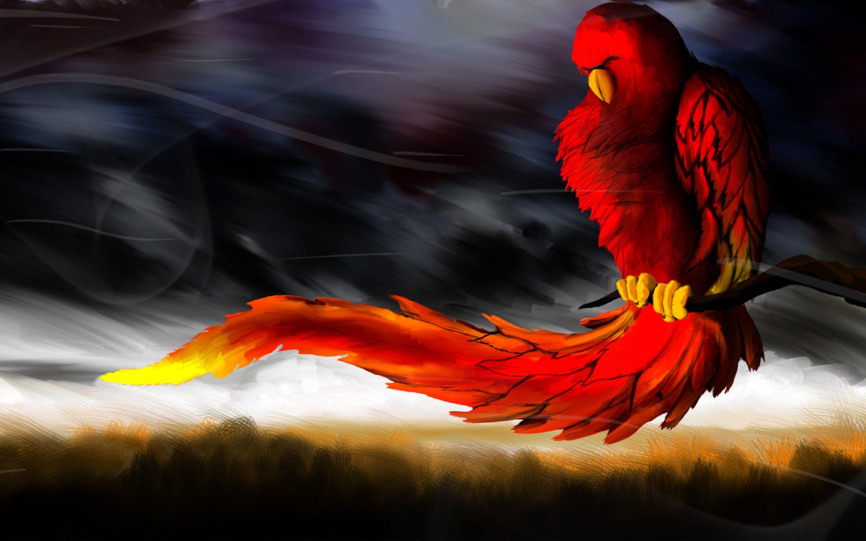 Download Free Phoenix Bird Background