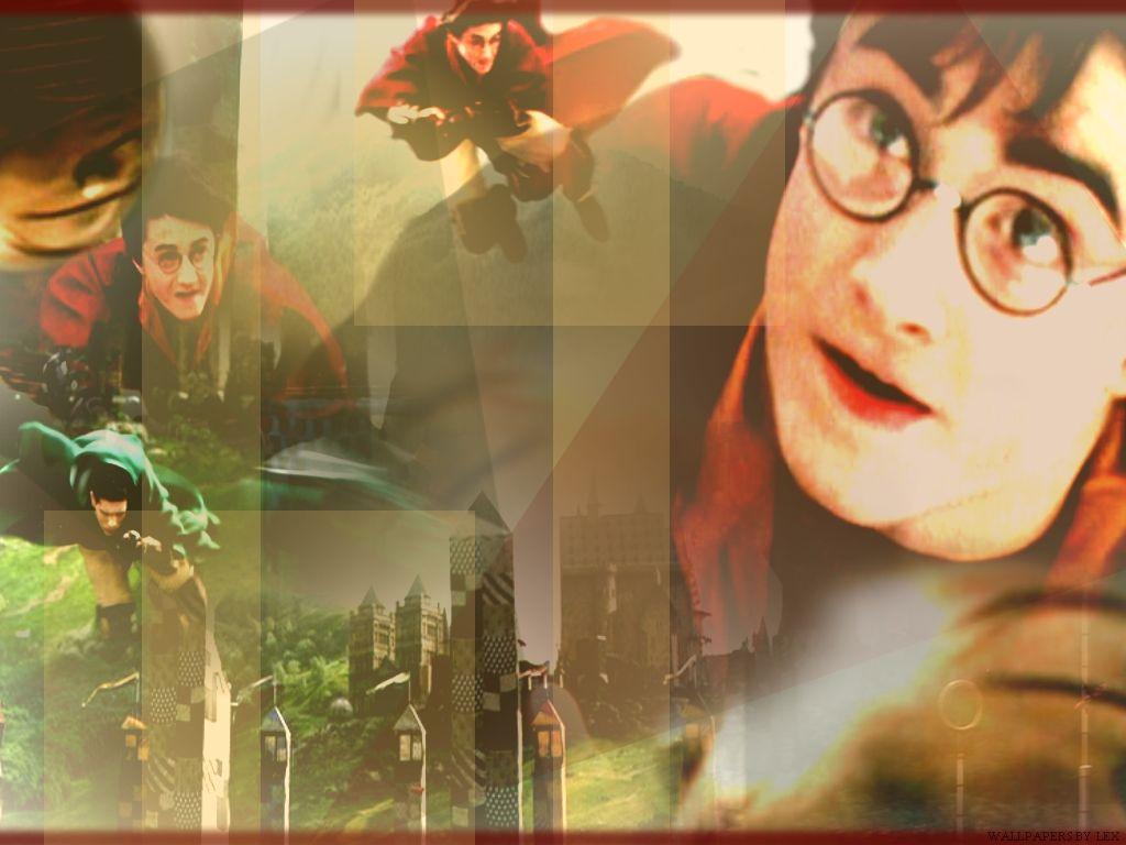 Quidditch image Harry Potter HD wallpaper and background photo