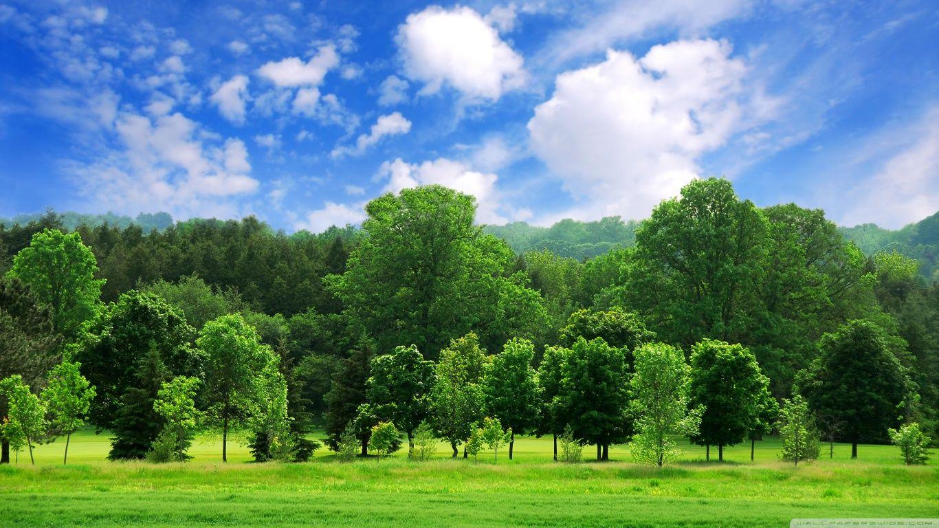 Beautiful Summer Landscape ❤ 4K HD Desktop Wallpaper for 4K Ultra