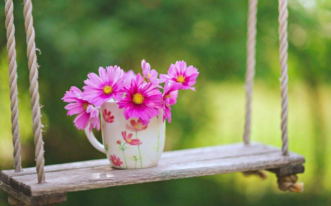 Best Beautiful Flower Image Wallpaper HD Desktop Most Flowers Of