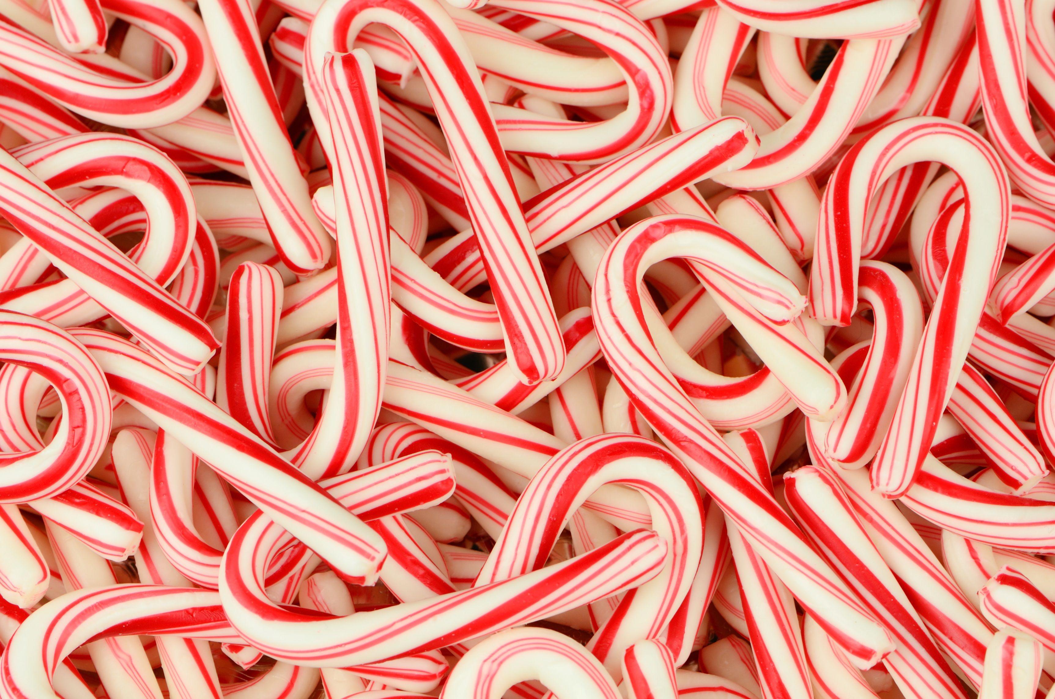 candy canes wallpaper HD Wallpaper Free