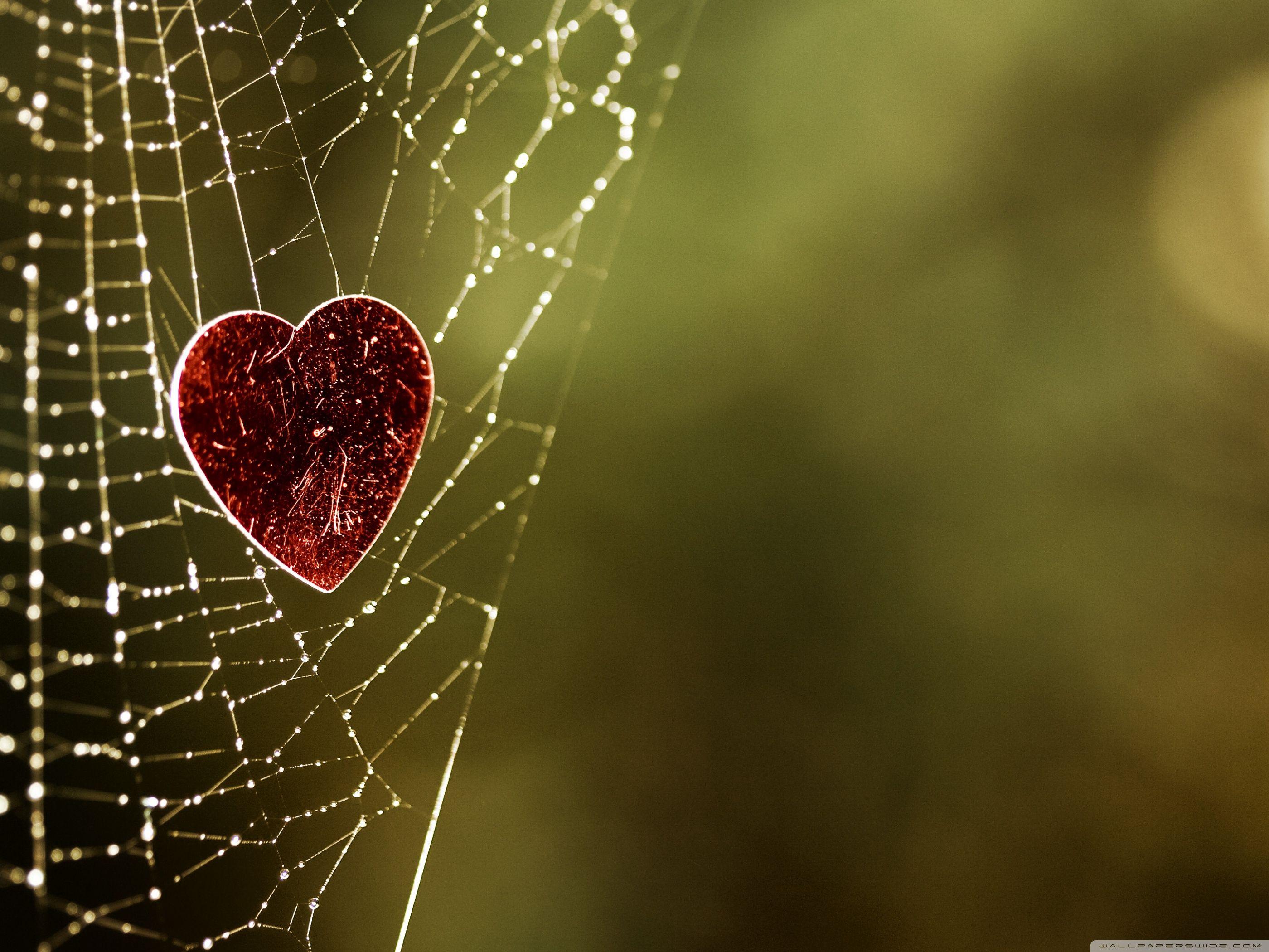 Full HD Love Wallpaper