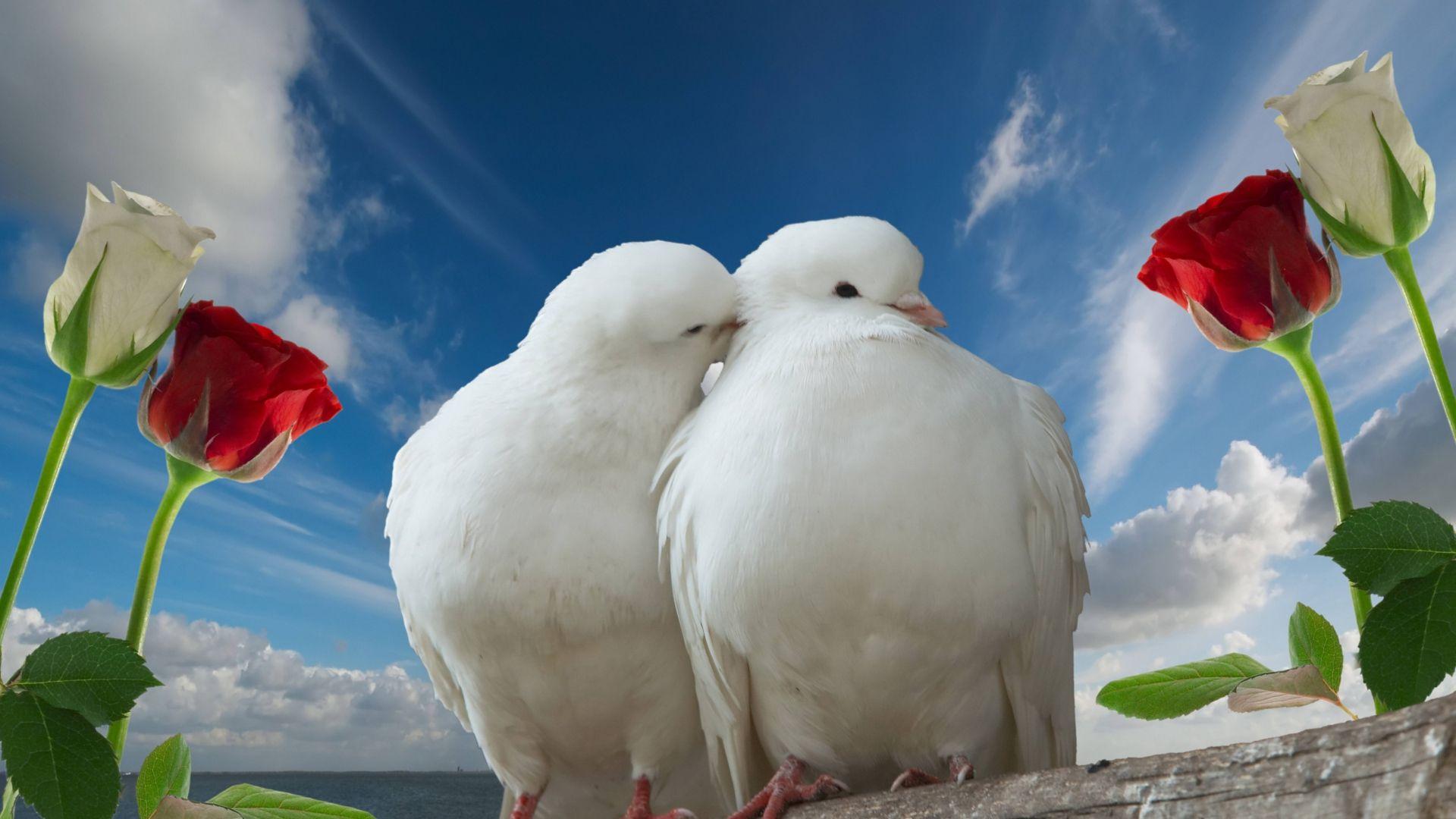 Full HD Love Wallpaper 1920x1080, Desktop Background HD 1080p