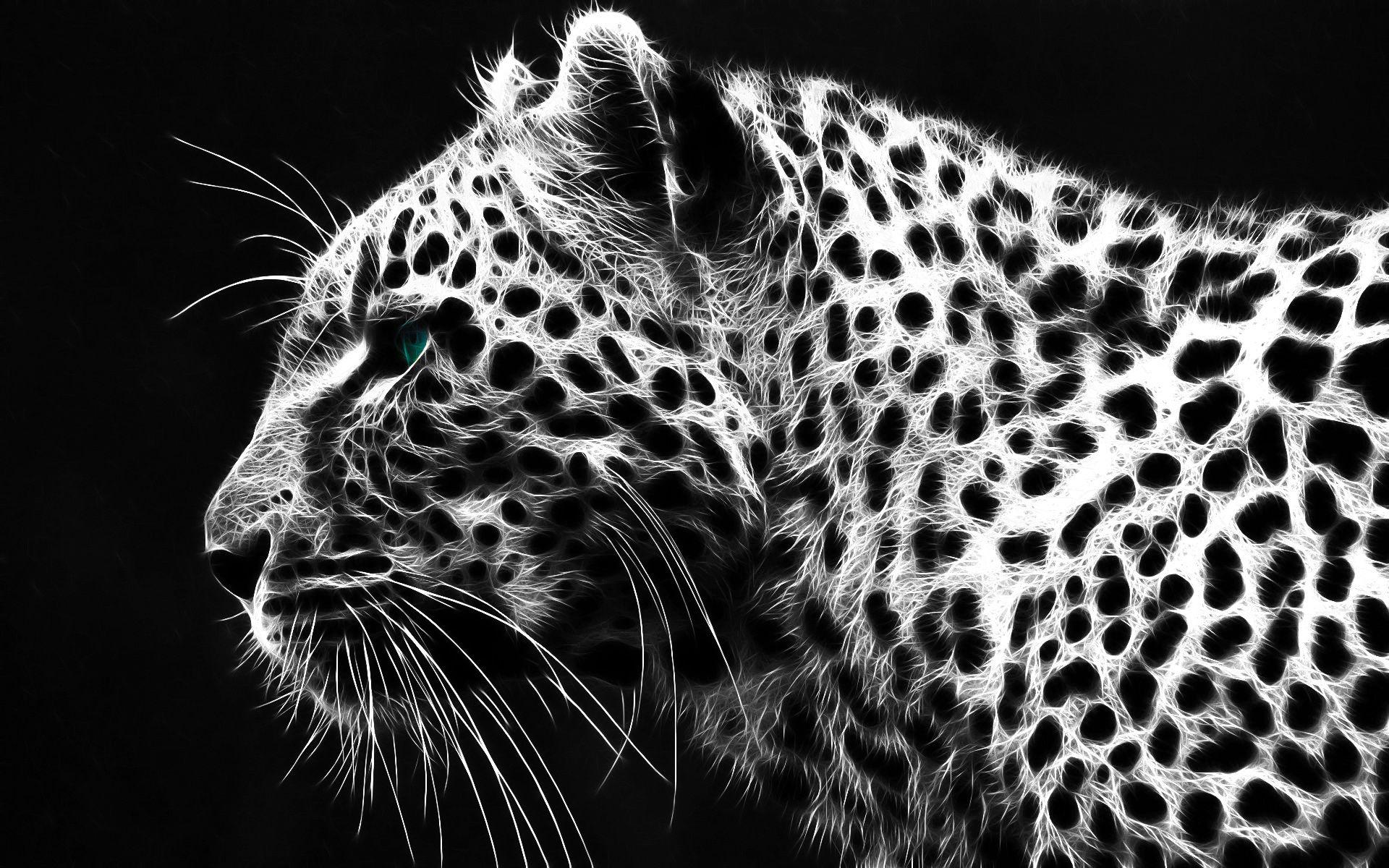 3D & Abstract Cheetah image. Beautiful image HD Picture & Desktop