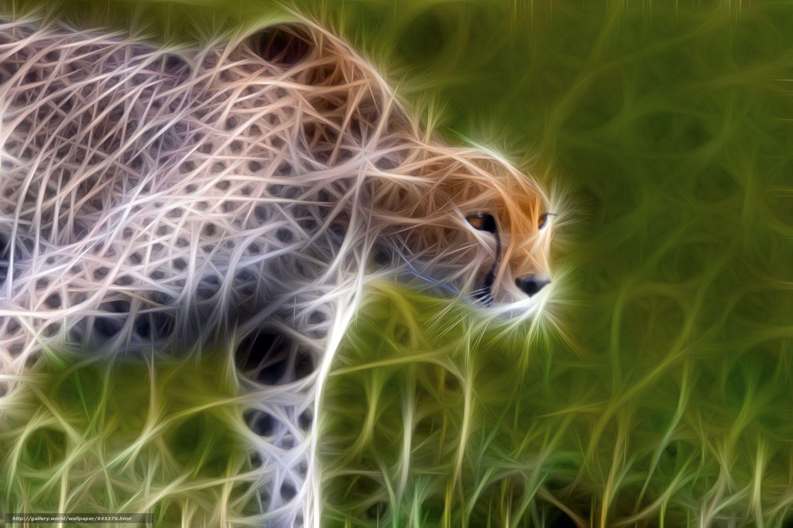 Download wallpaper abstraction, cheetah, 3D free desktop wallpaper