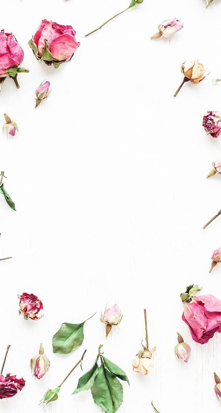 White pink scattered florals roses frame wallpaper background phone