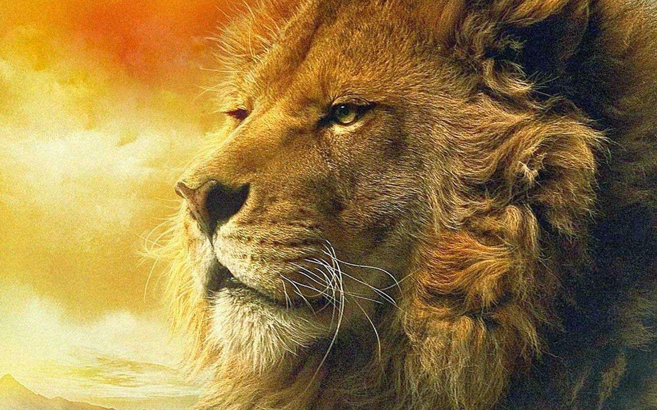 Narnia, aslan, lion, HD phone wallpaper