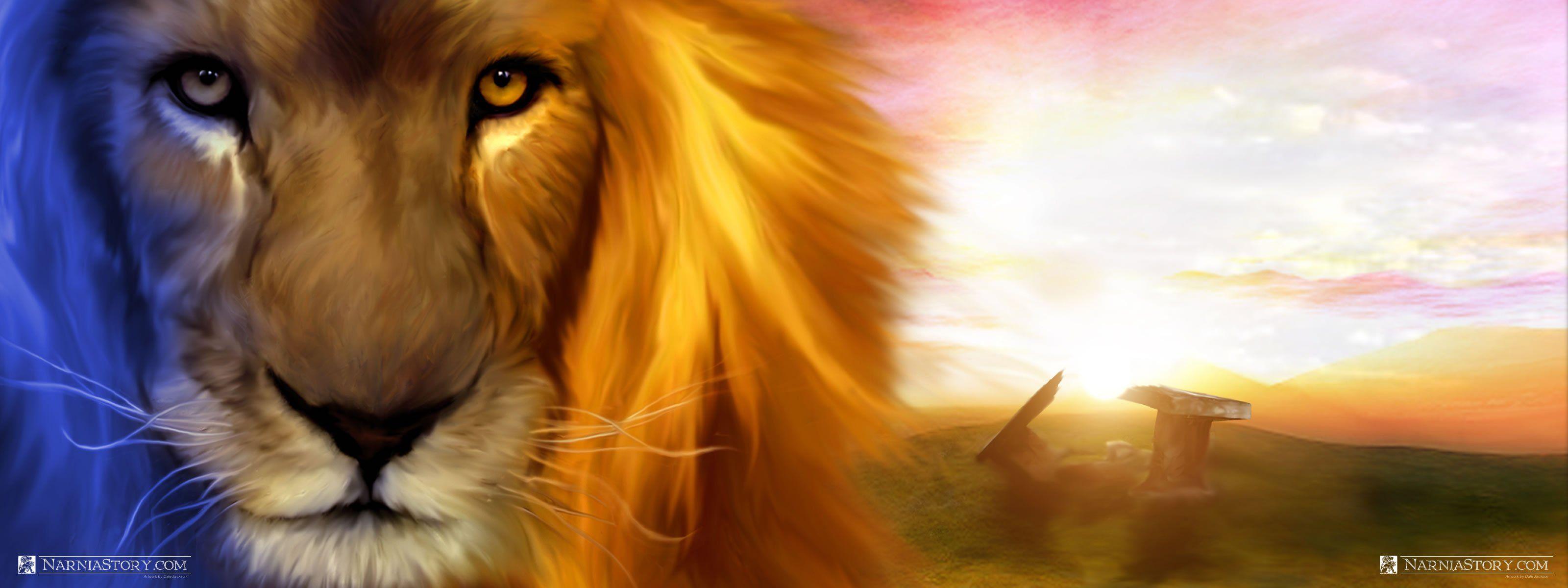 Lion, fantasy, leu, aslan, narnia, HD wallpaper