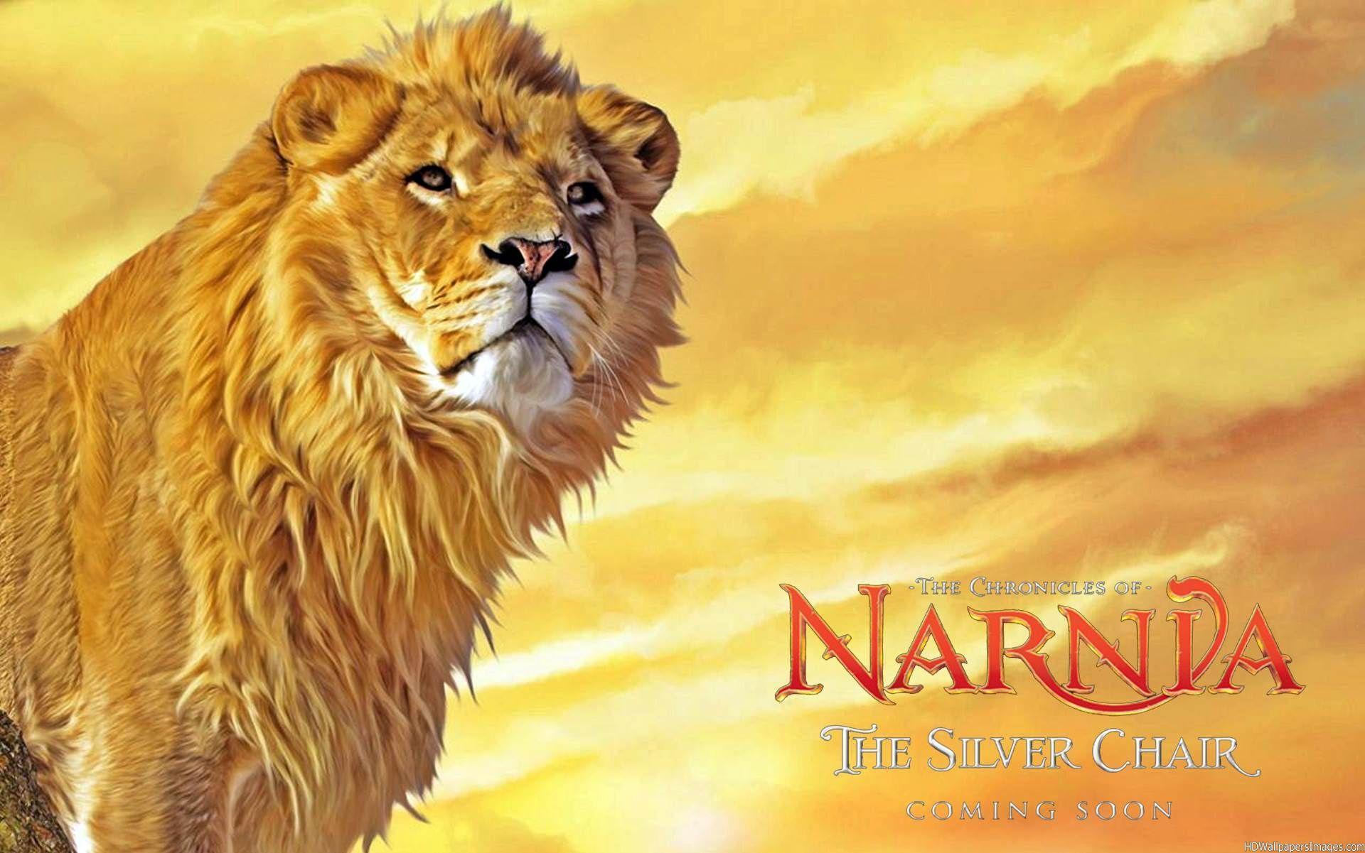 Aslan Narnia Lion Hd Wallpaper for Desktop and Mobiles Retina iPad