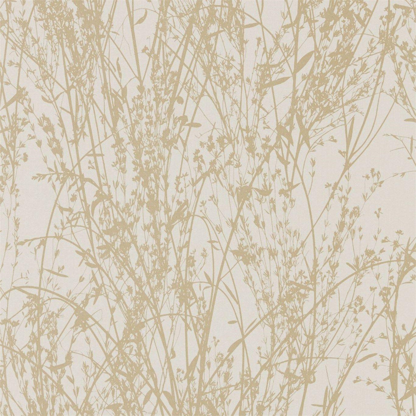 Meadow Canvas (DWOW215697). Woodland Walk Wallpaper. Woodland