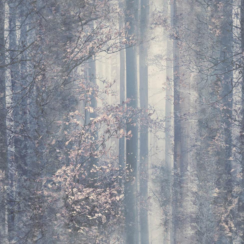 Woodland Blue Trees Wallpaper