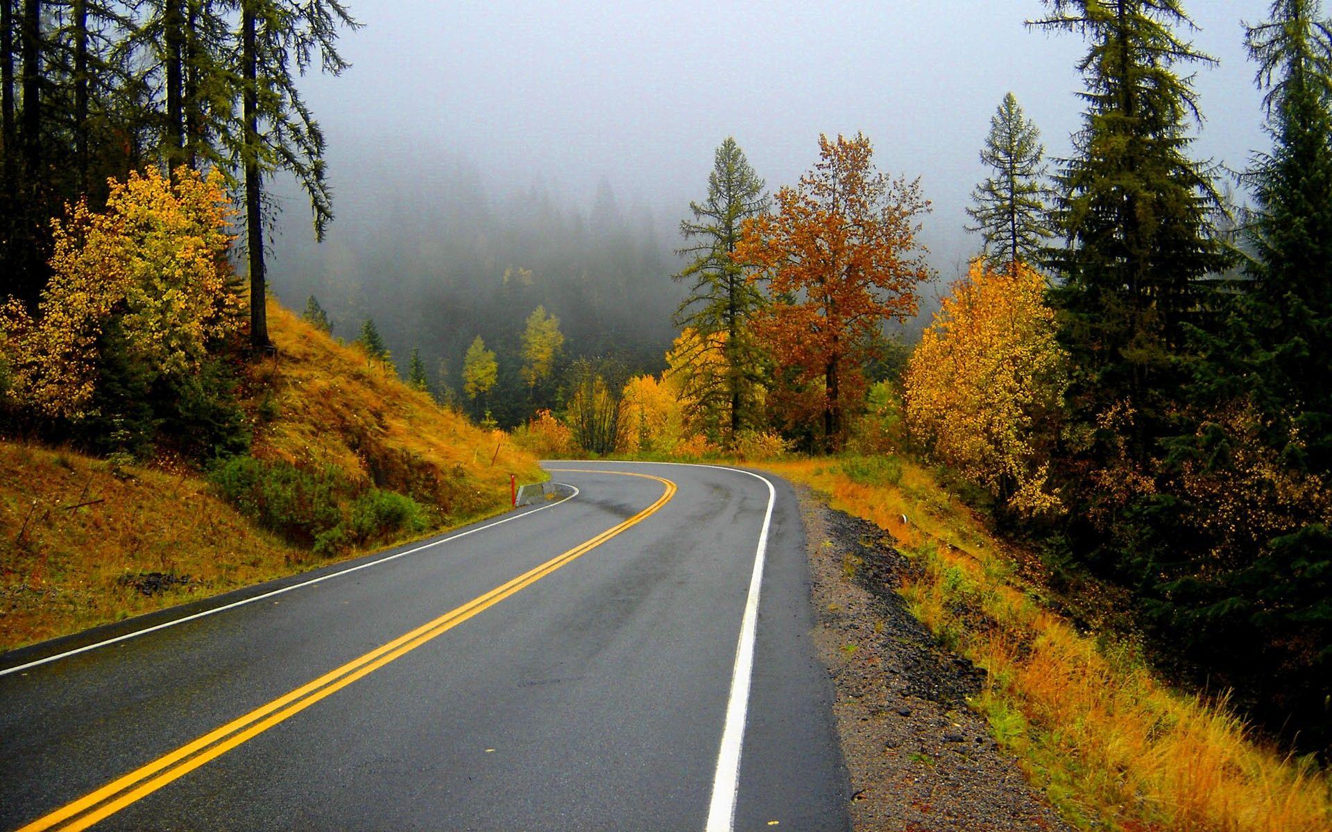 Other: Autumn Road Trip Forest Fog Fall Trees Roads Wallpaper