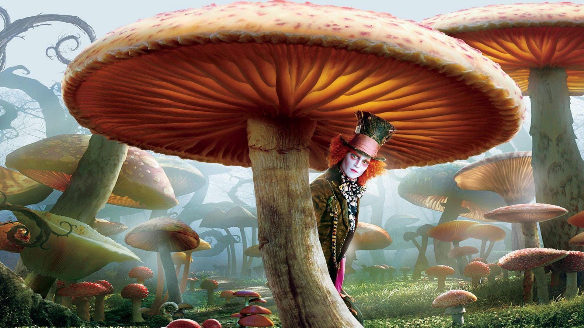 Mad Hatter Alice In Wonderland Movie Hd Wallpaper X PIC WSW1049956