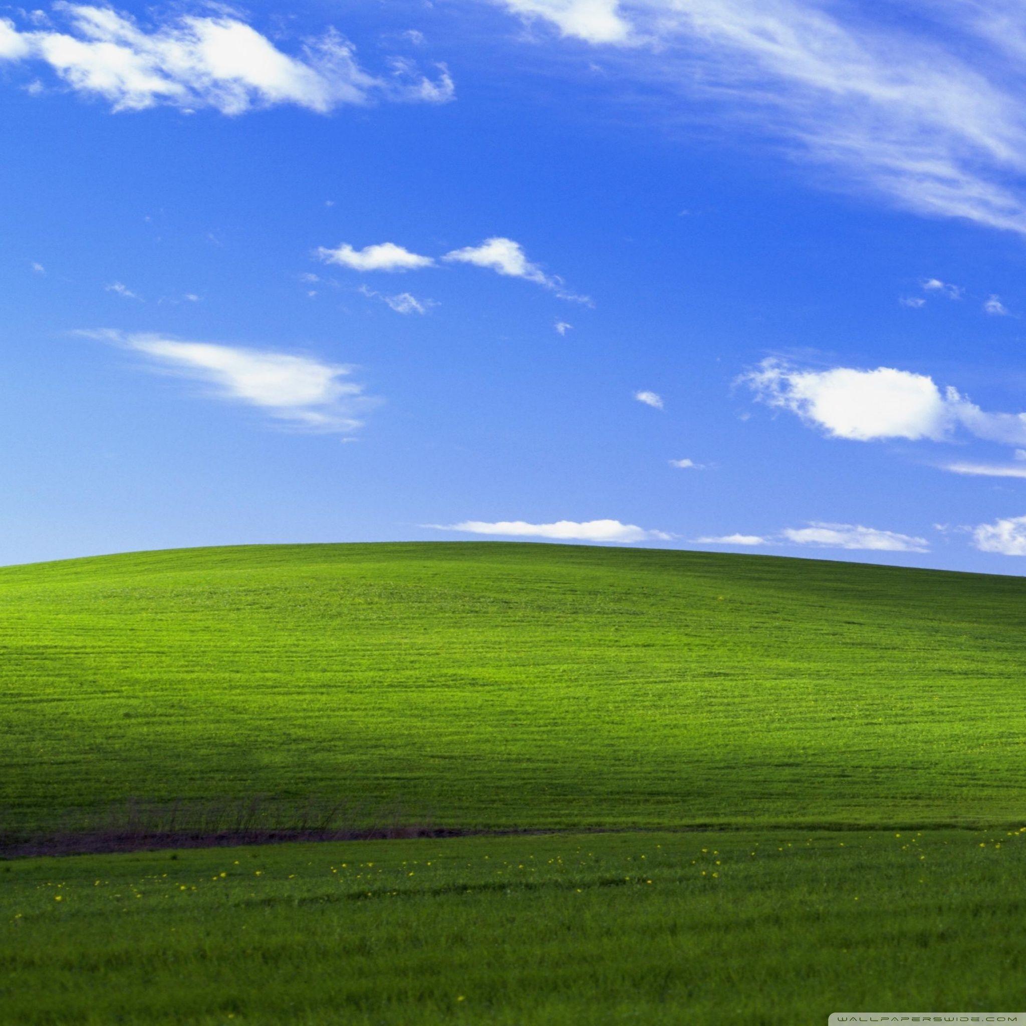 Windows xp рабочий стол картинка