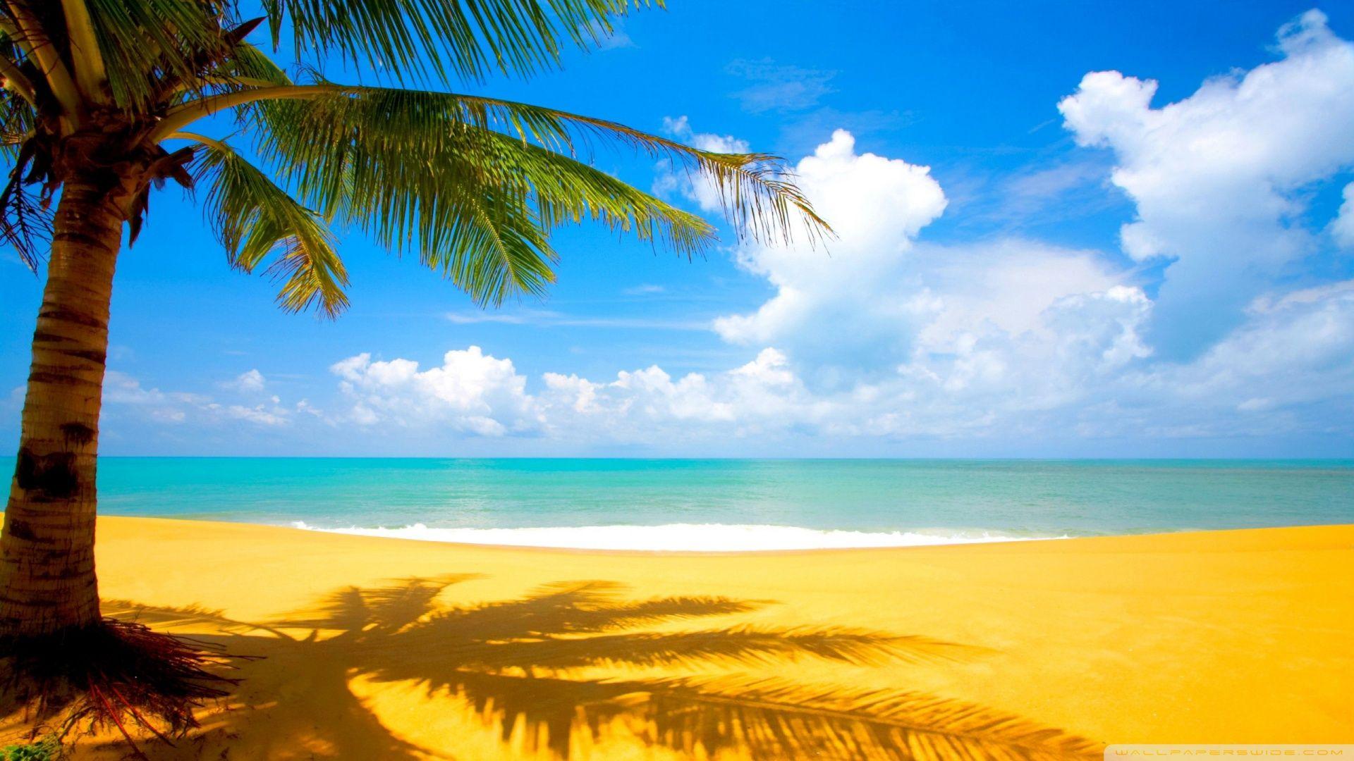 Gorgeous Beach In Summertime ❤ 4K HD Desktop Wallpaper for 4K Ultra