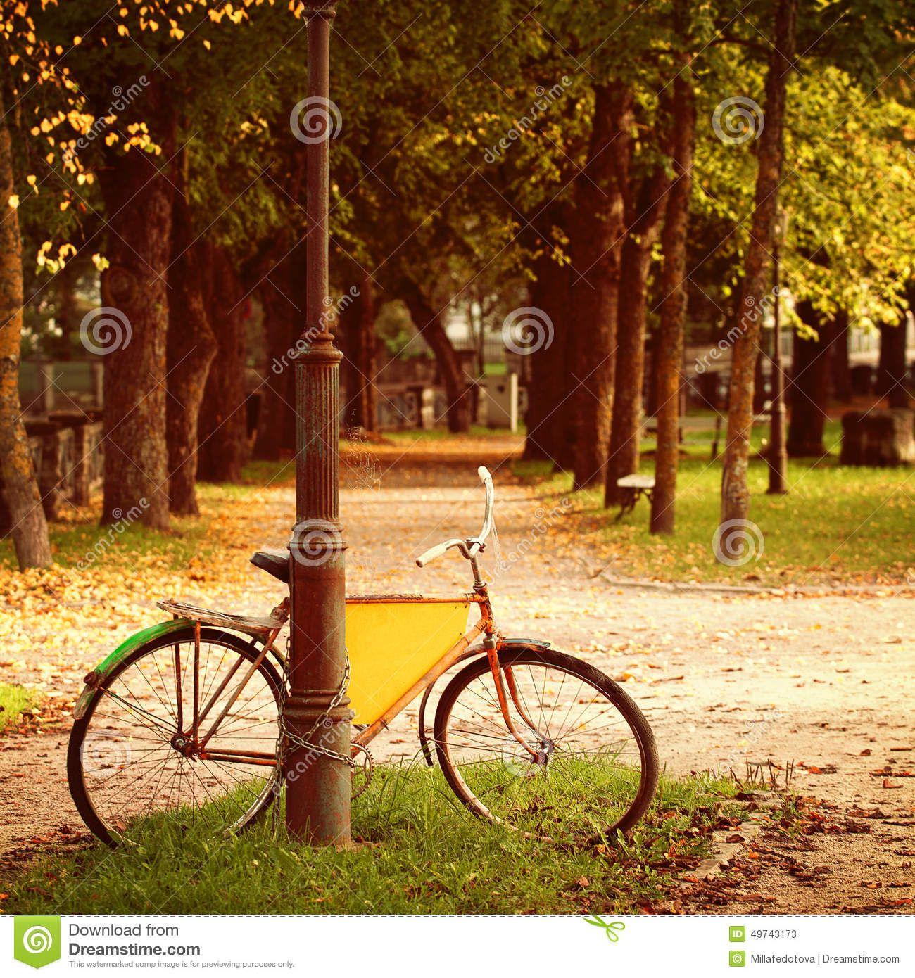 Nature Background Image