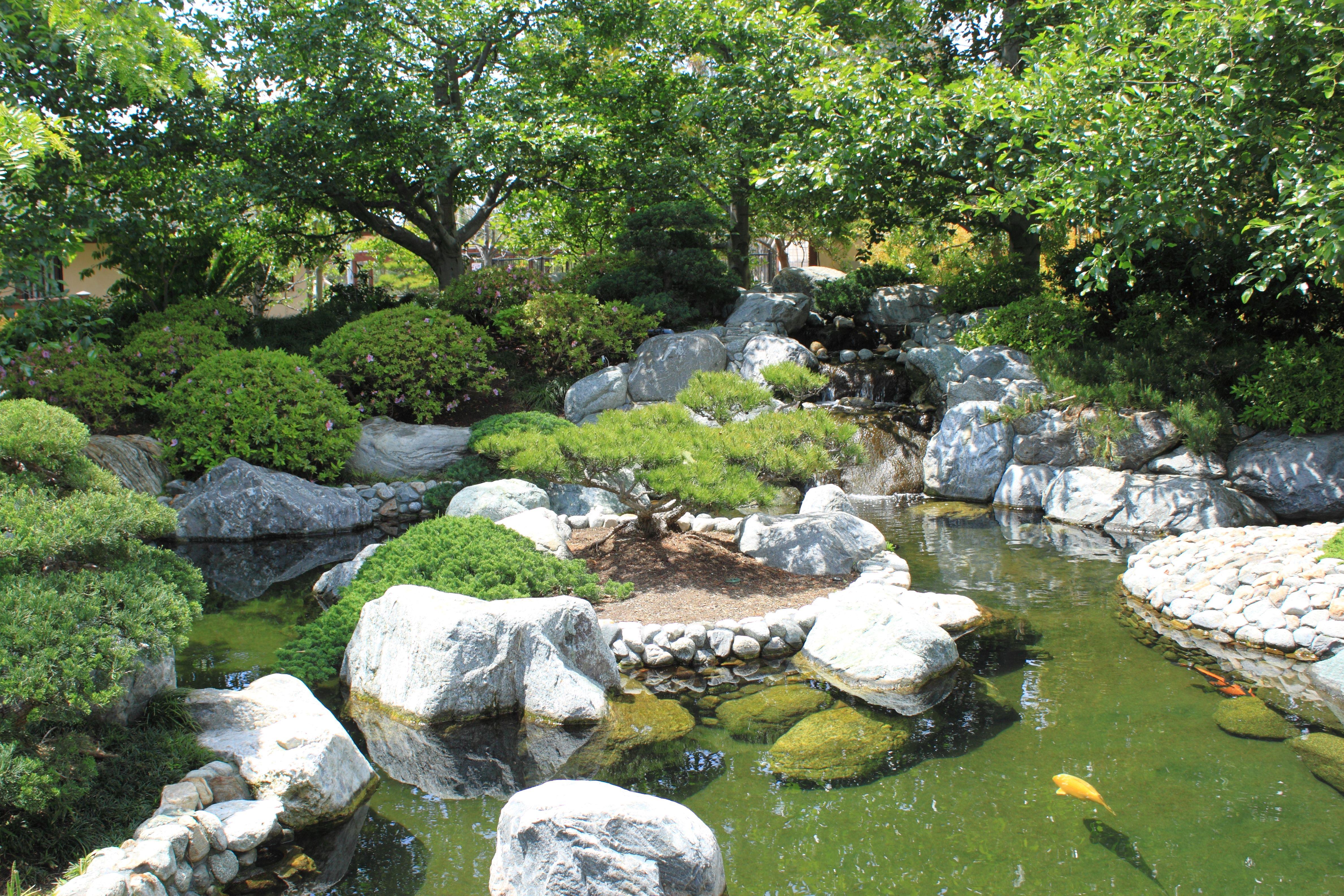 Japanese Friendship Garden Path koi pond