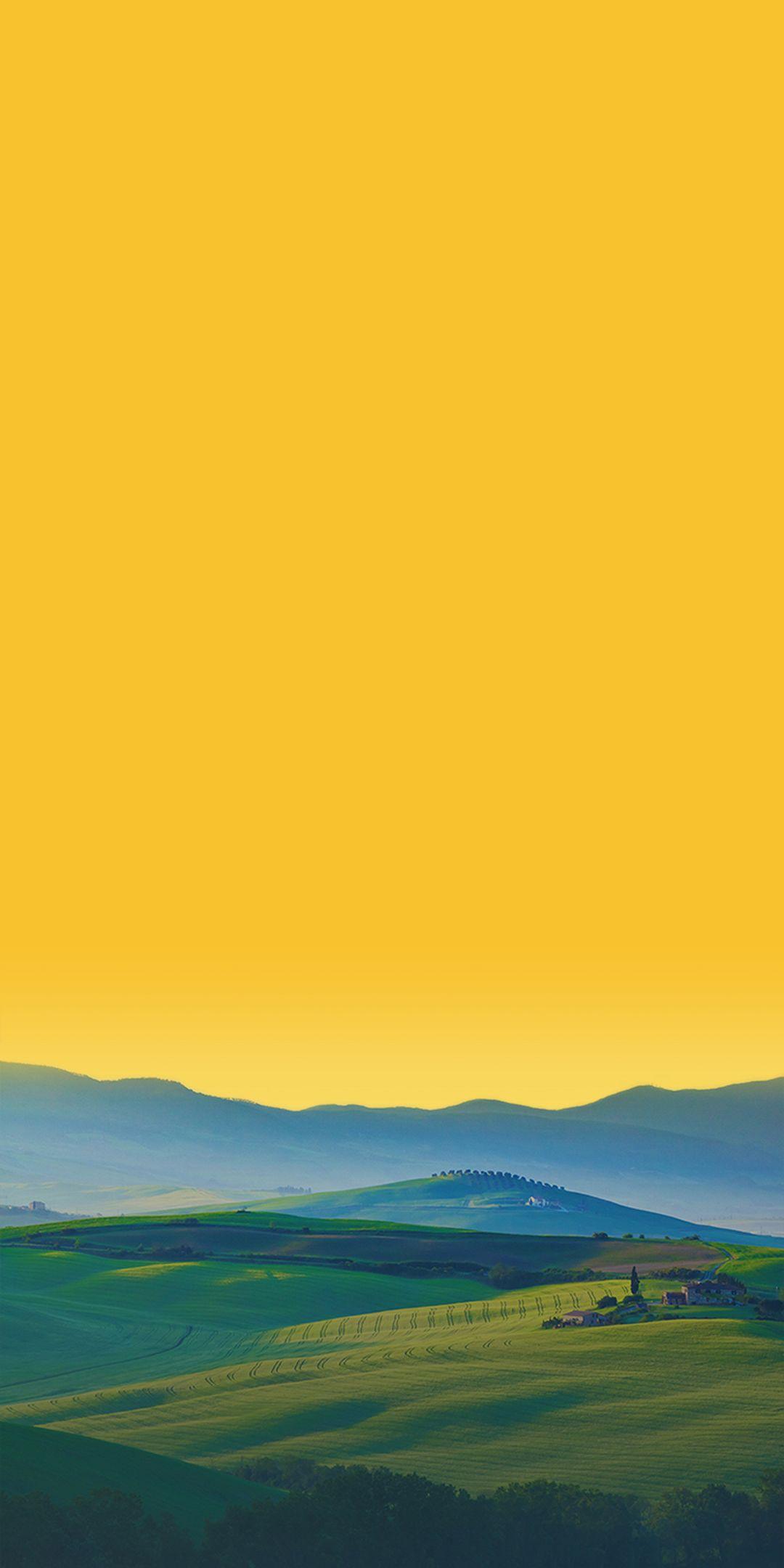 Download LG Q6 Plus Stock Wallpaper