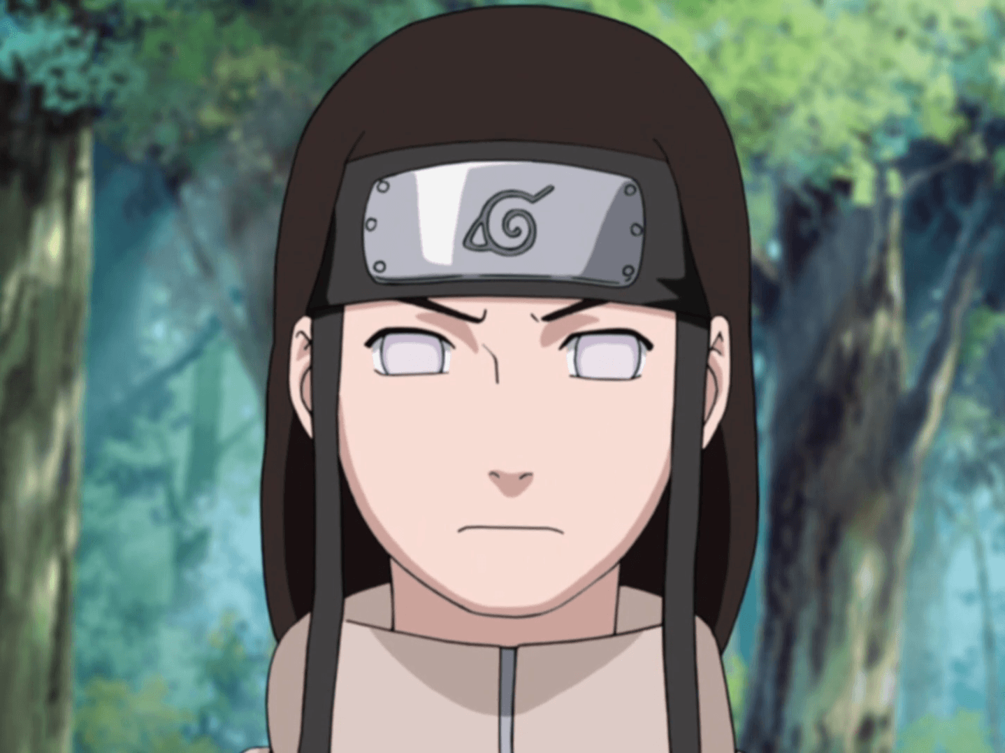 Infobox:Neji Hyūga