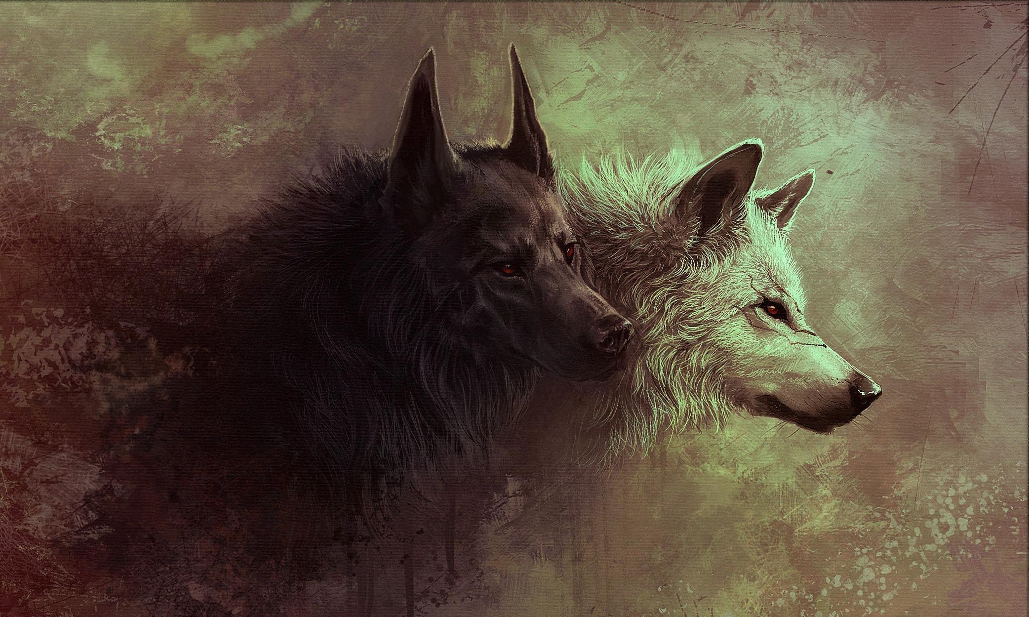 Wolf HD desktop wallpaper, Widescreen, High Definition