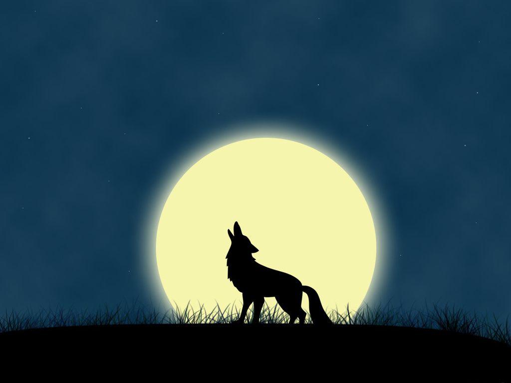 Picture Wolves Silhouette 3D Graphics Moon