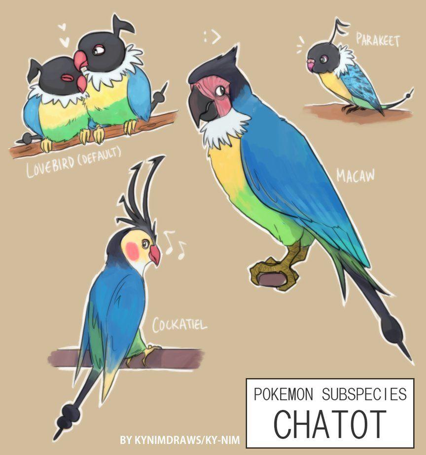 Pkmn Subspecies: Chatot By Ky Nim
