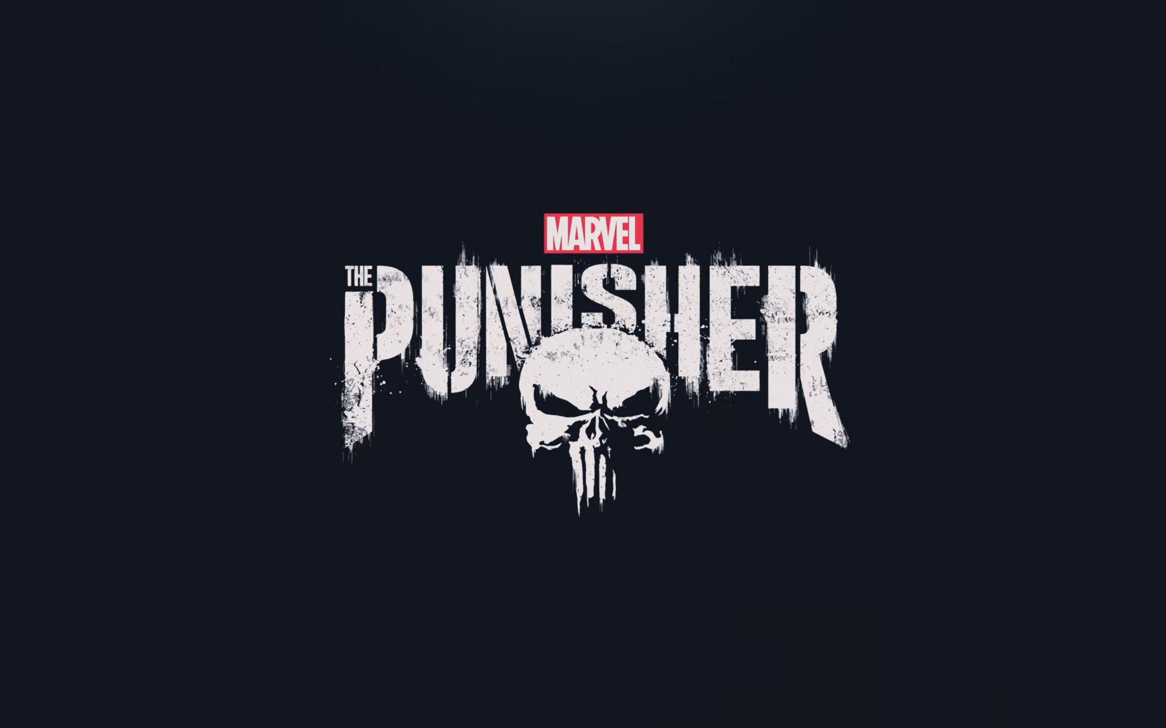 The Punisher 2017 HD Logo 4k HD 4k Wallpaper, Image