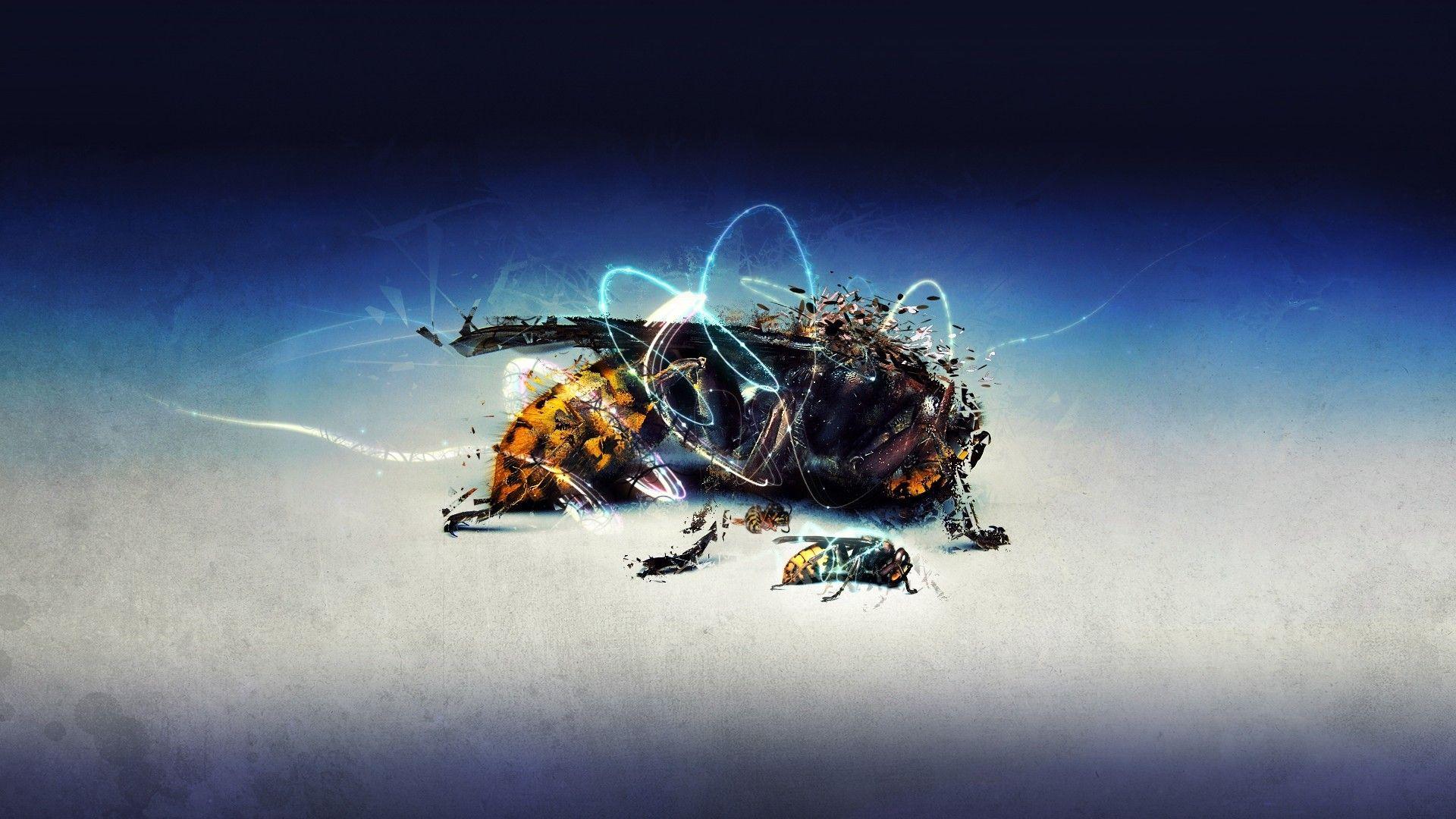 wallpaper 1920x1080 High Resolution Download